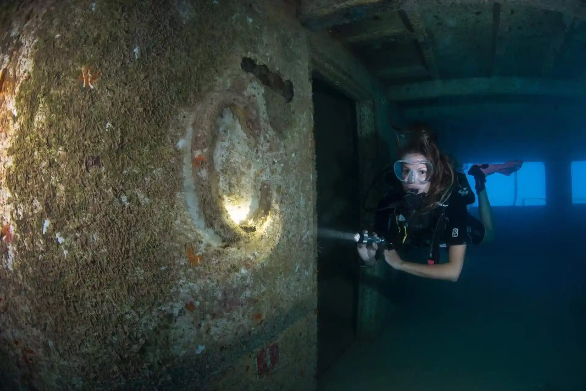 ダイビングサイトの写真