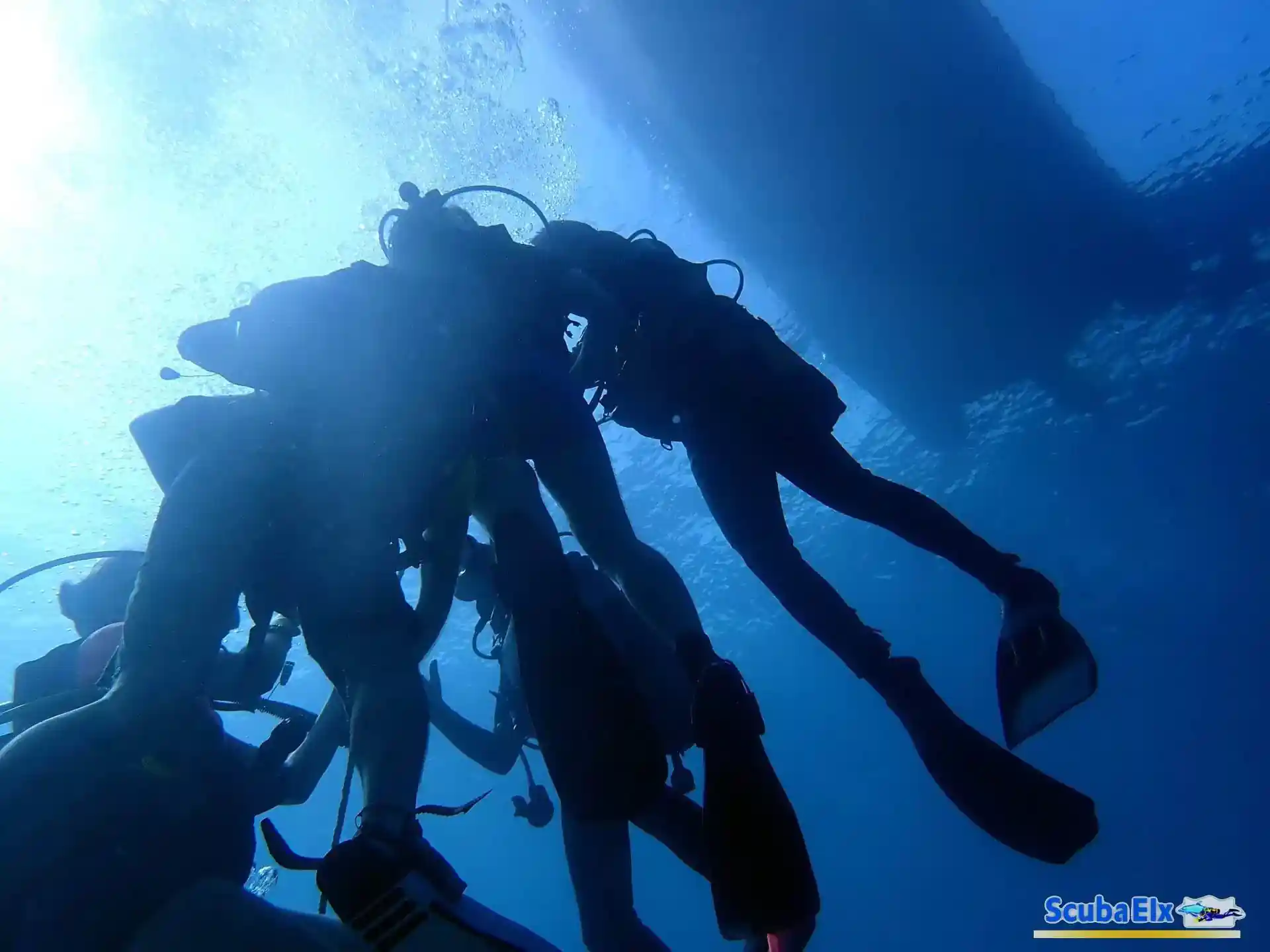 Foto de la actividad