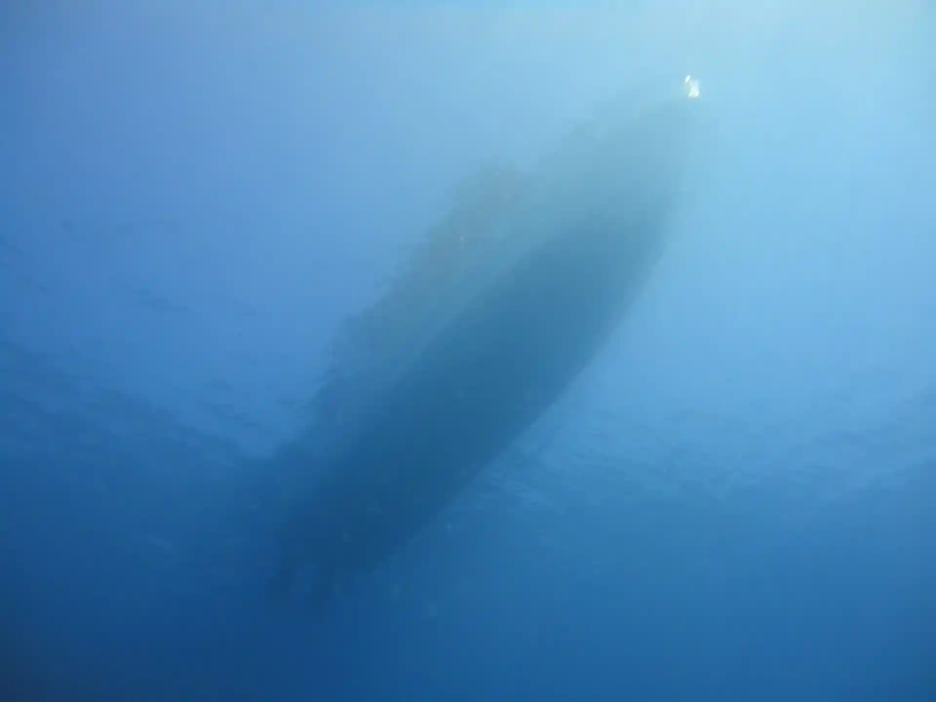 ダイビングサイトの写真