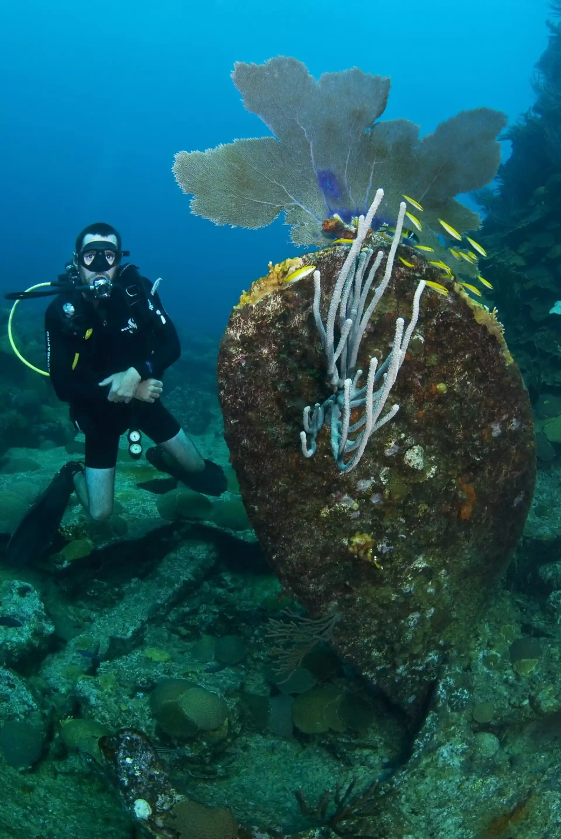 다이빙 포인트 사진