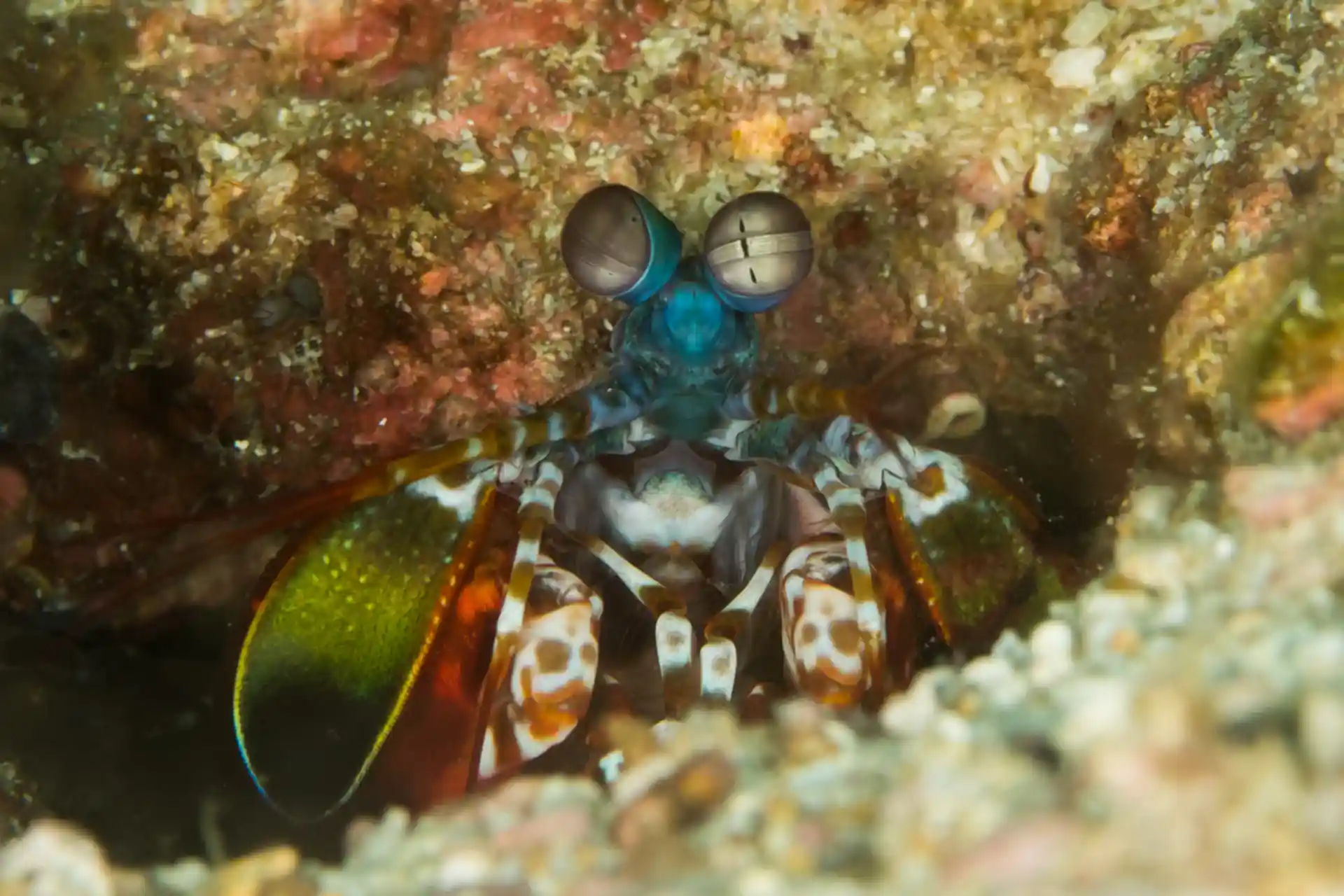 Foto des Tauchplatzes