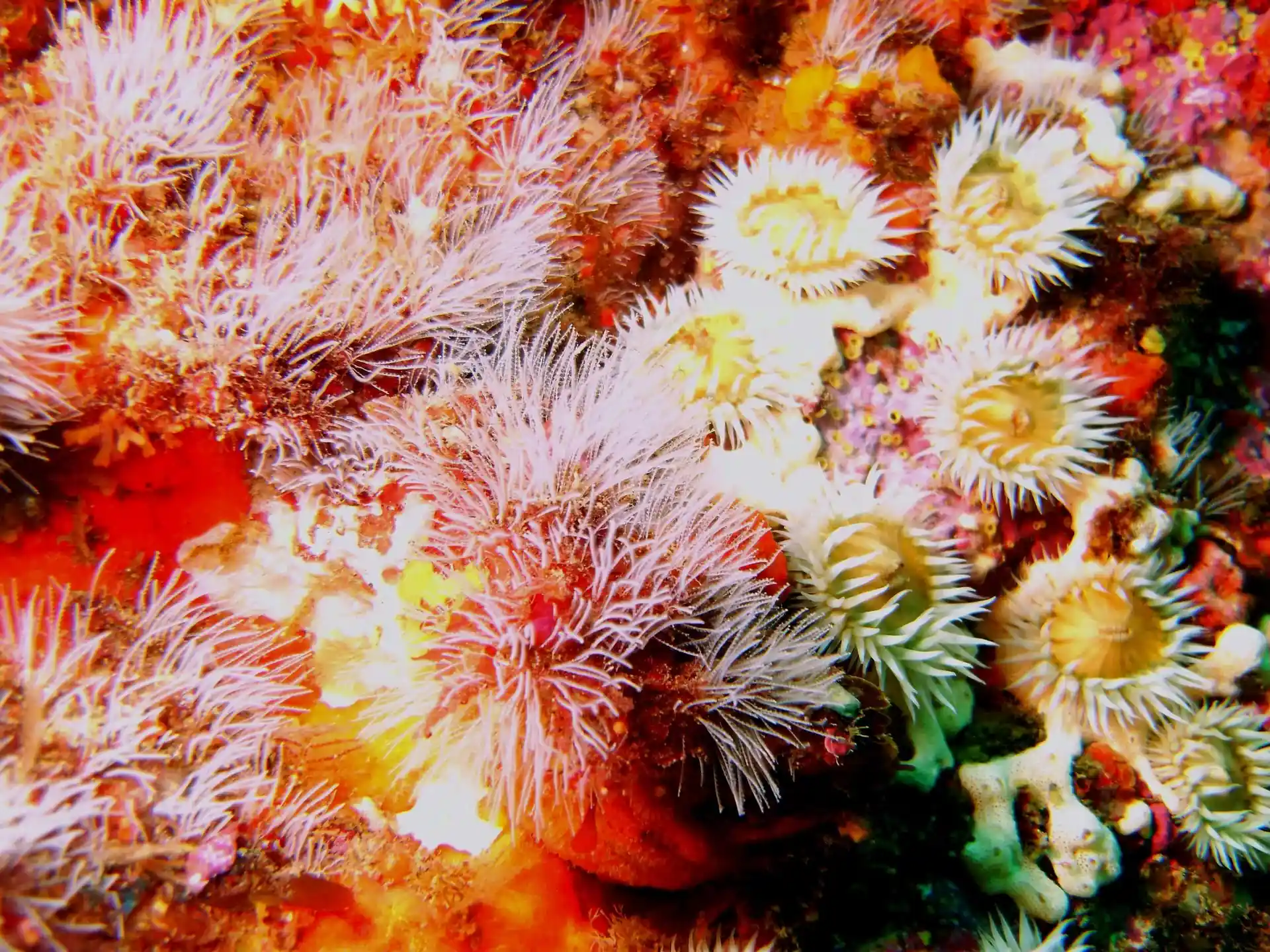 Dive site photo