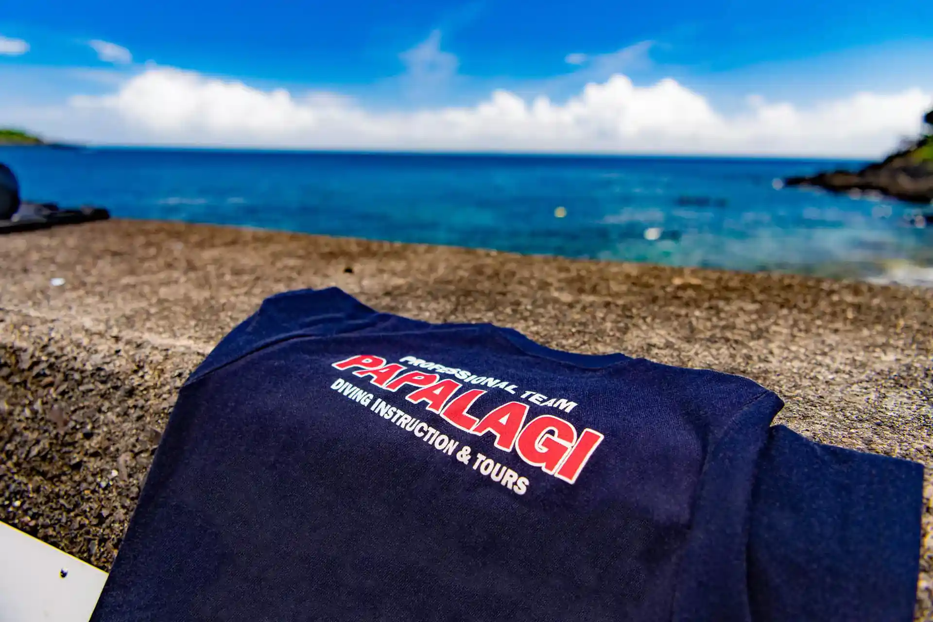 Dive shop photo