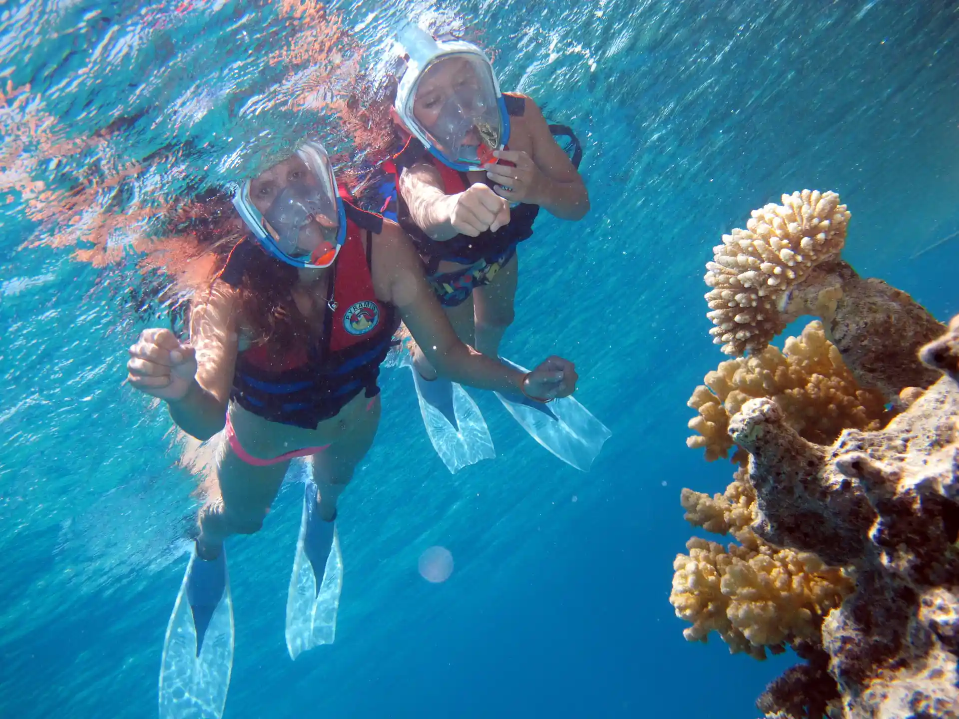 Ras Mohamed National Park Snorkeling Excursion