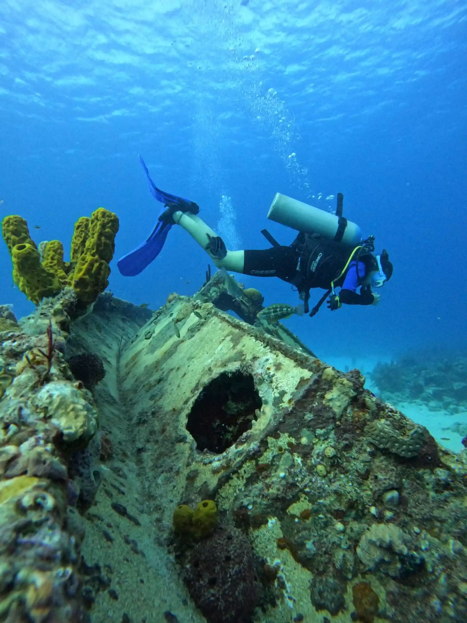 Dive site photo