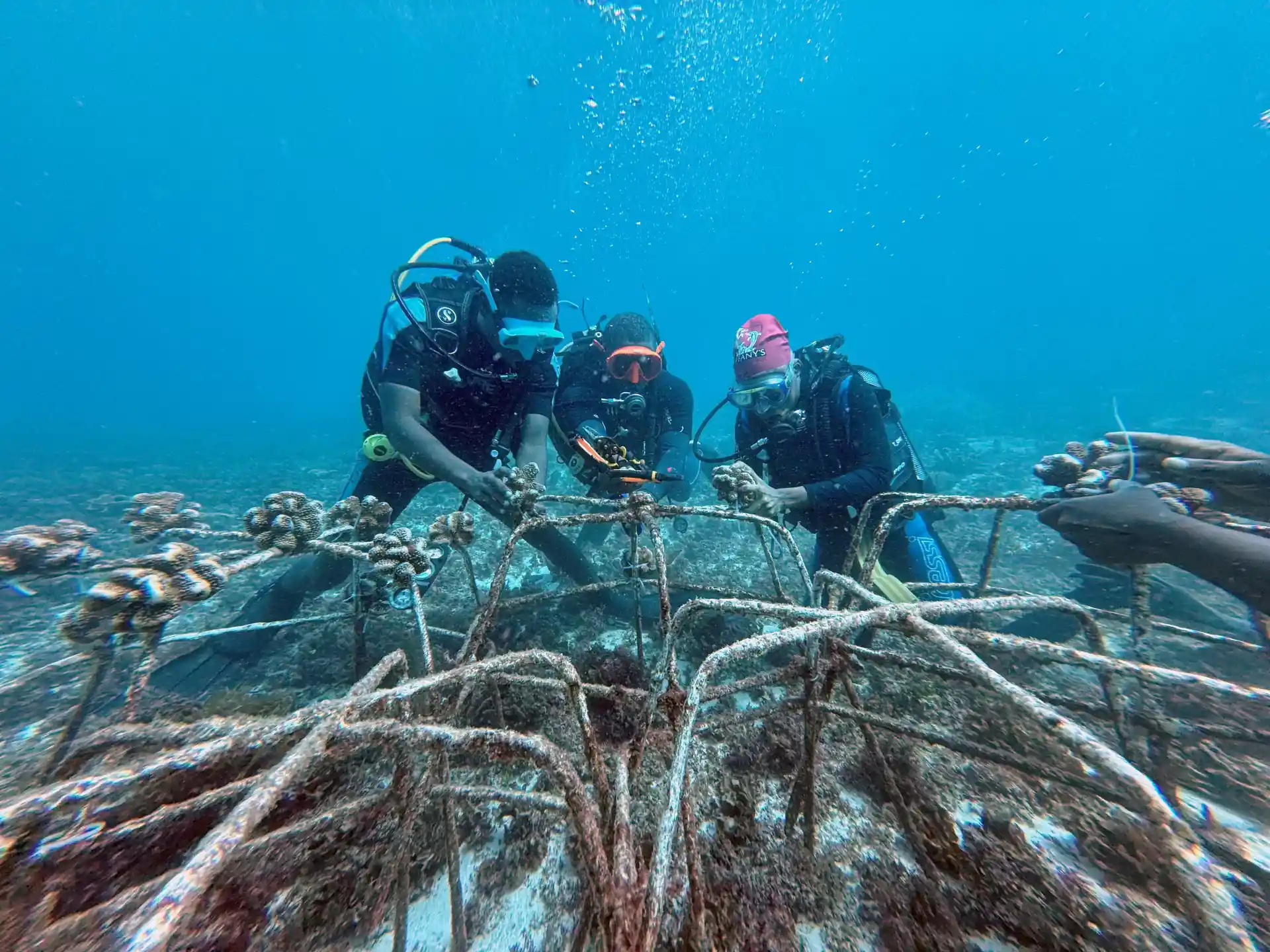 Dive shop photo