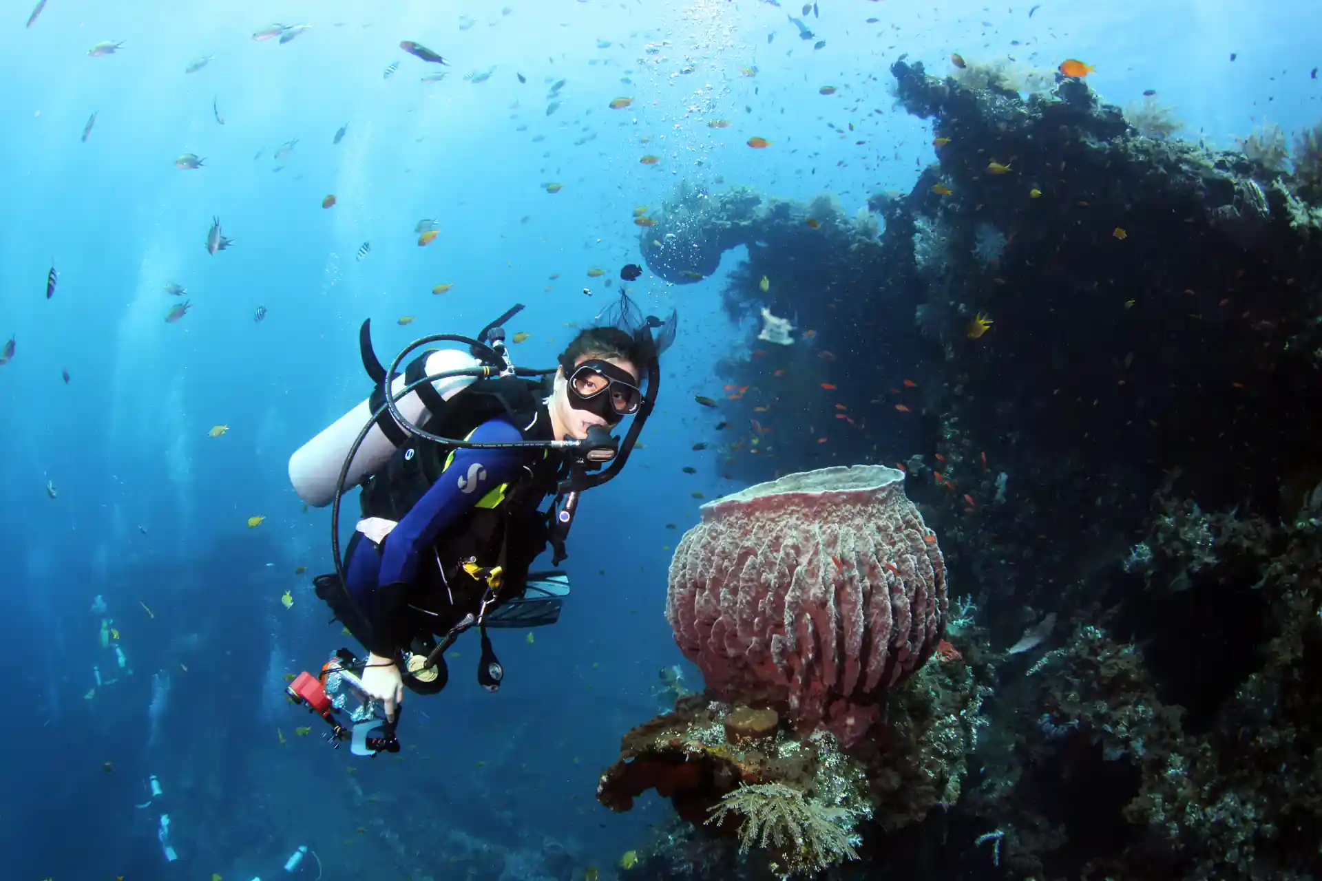 Dive shop photo