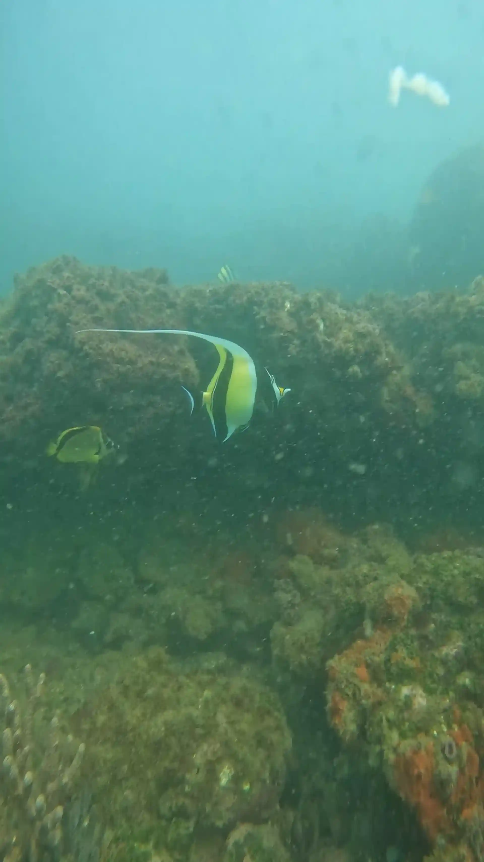 Dive site photo