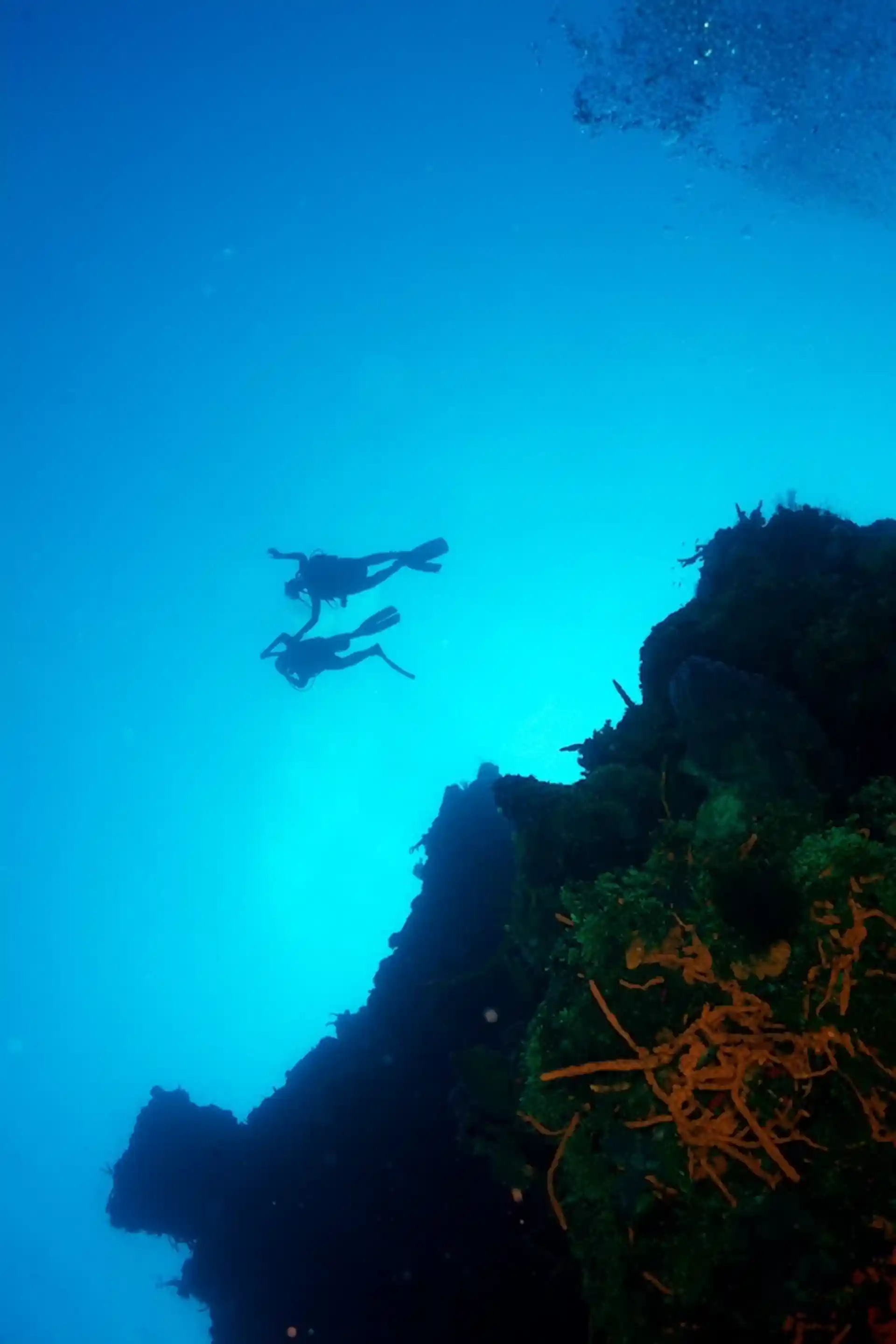 Dive shop photo