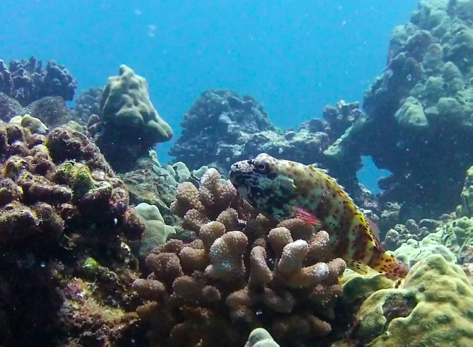 Foto des Tauchplatzes