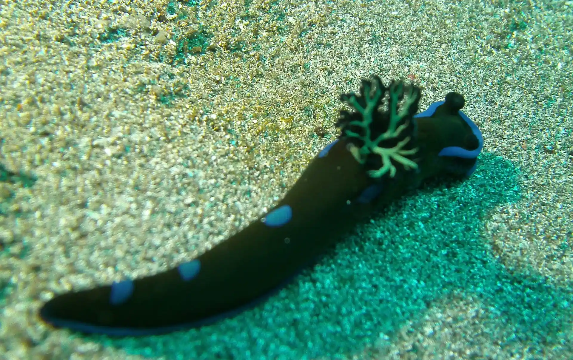 Dive site photo
