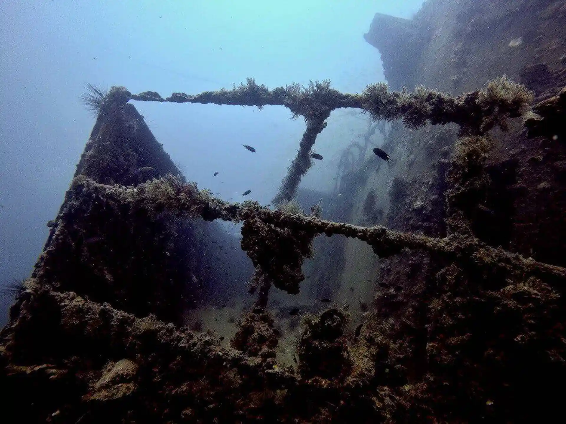 Dive site photo