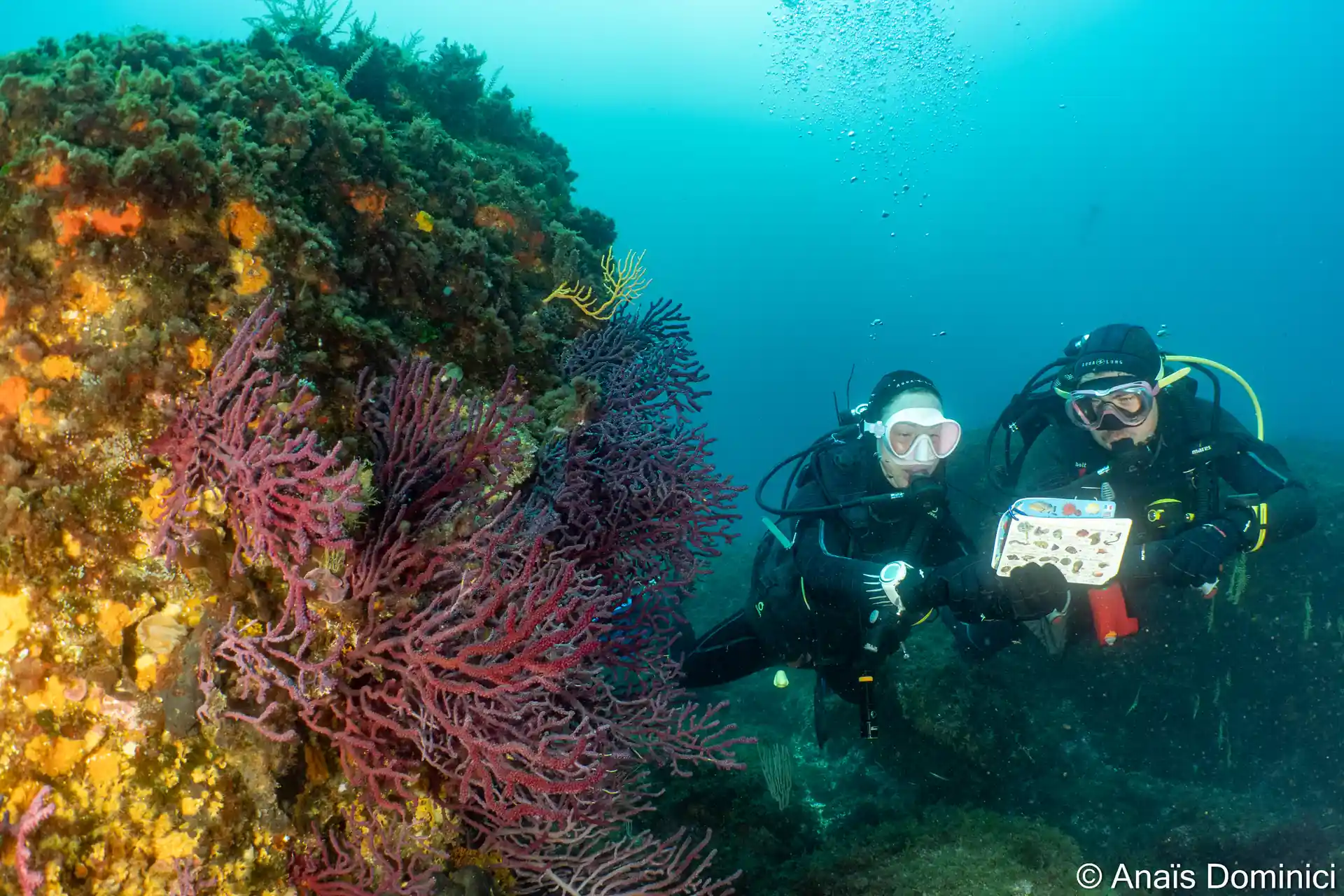 Photo de l'activité