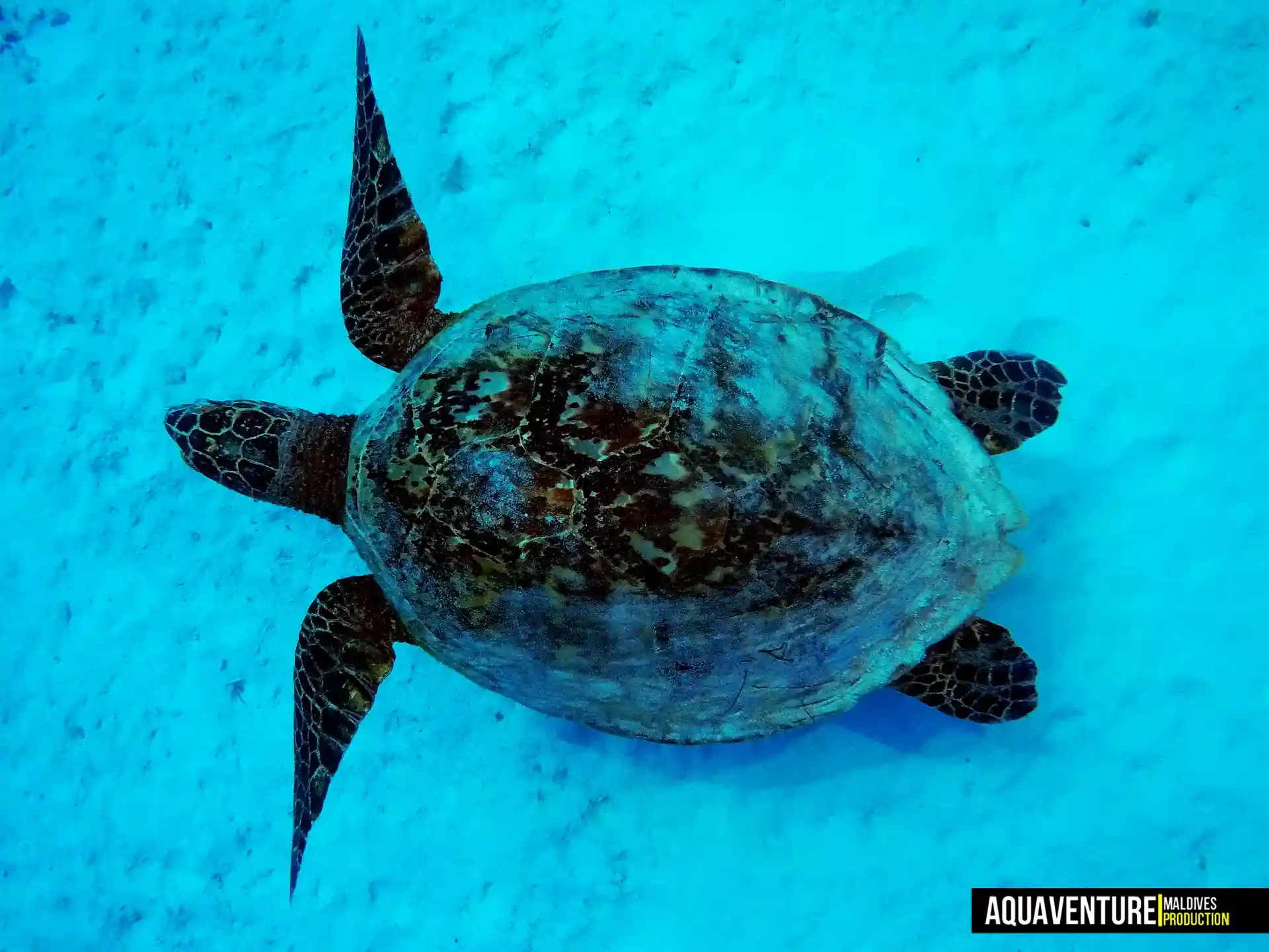 Foto del sitio de buceo