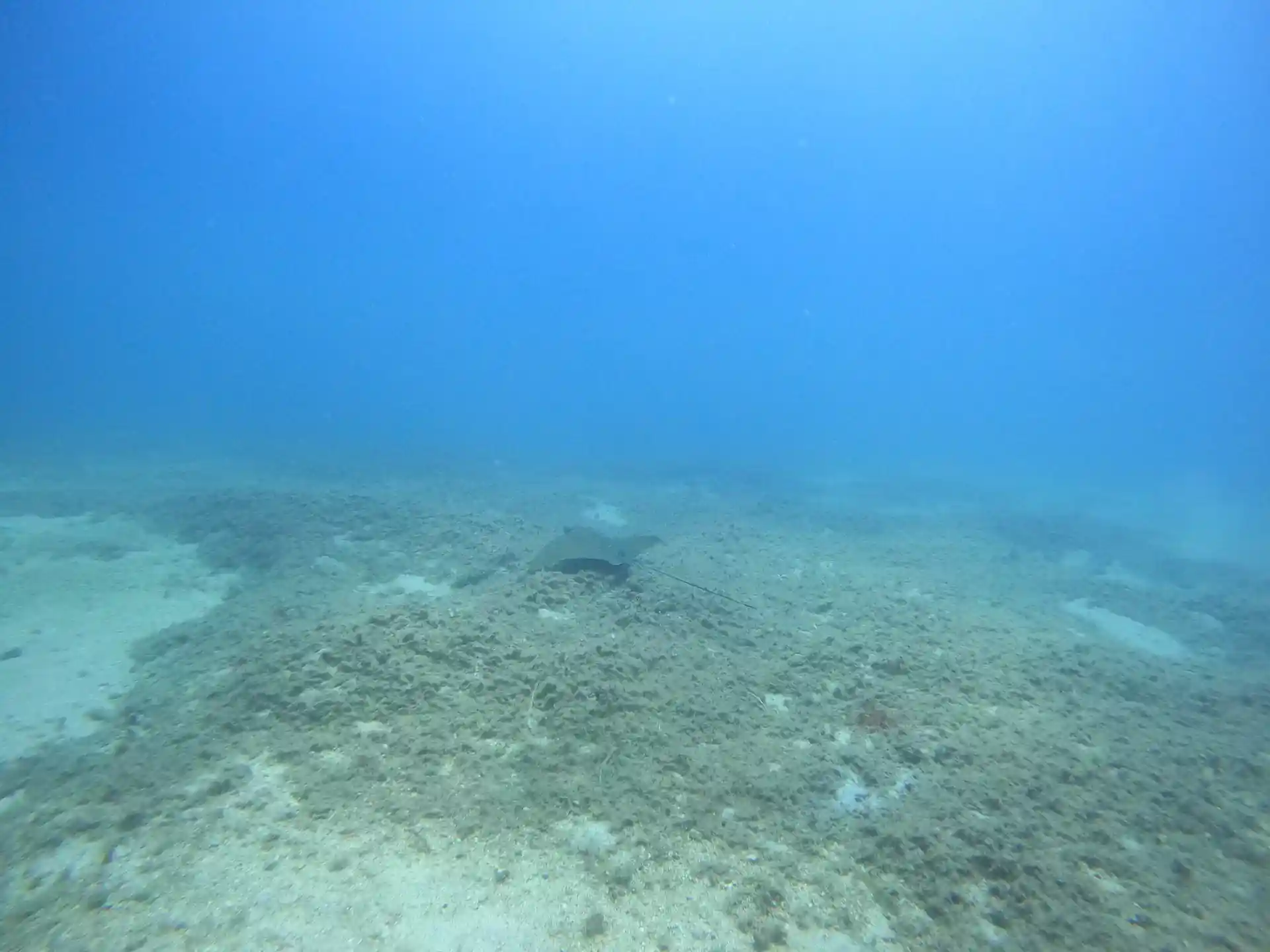 Foto des Tauchplatzes