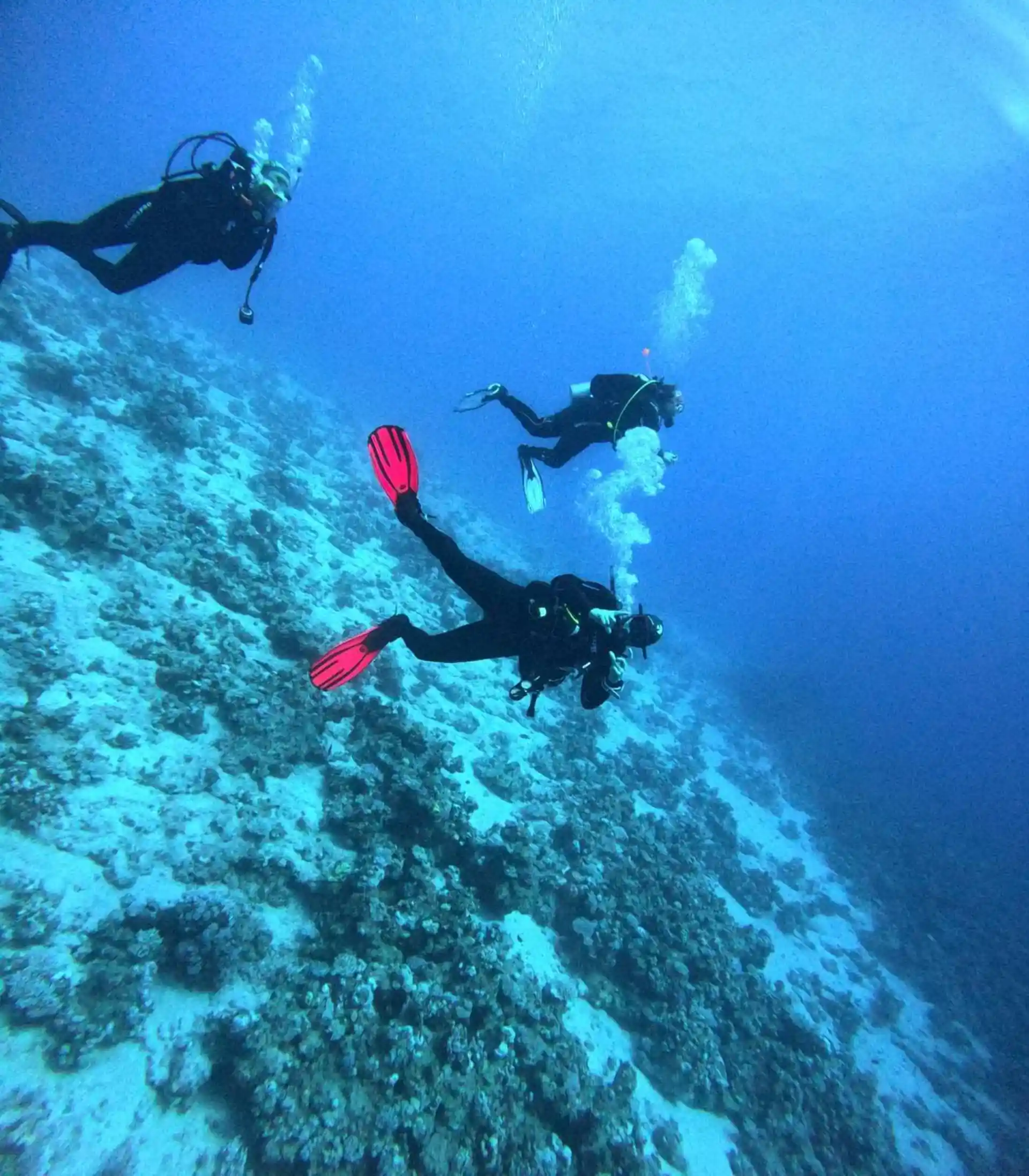 Diving in Egypt-Sharm el Sheikh