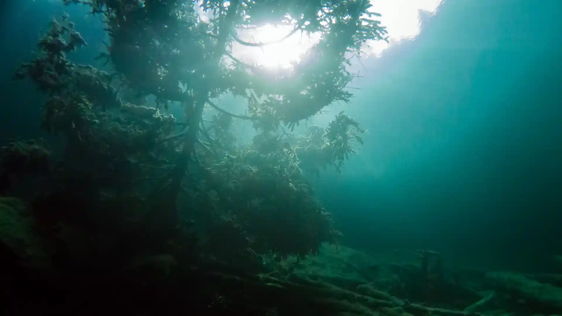 Photo de l'activité