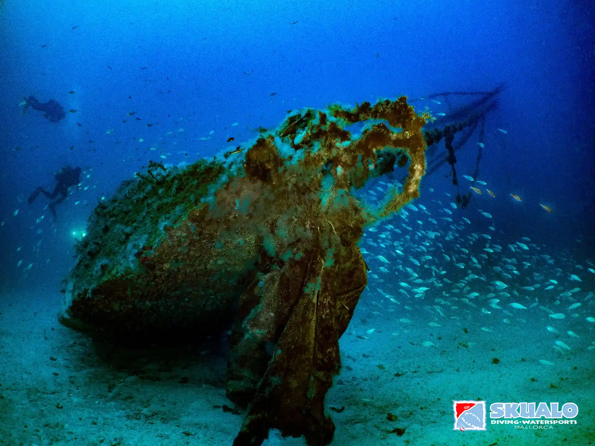 Buceo en naufragios en Mallorca con Skualo