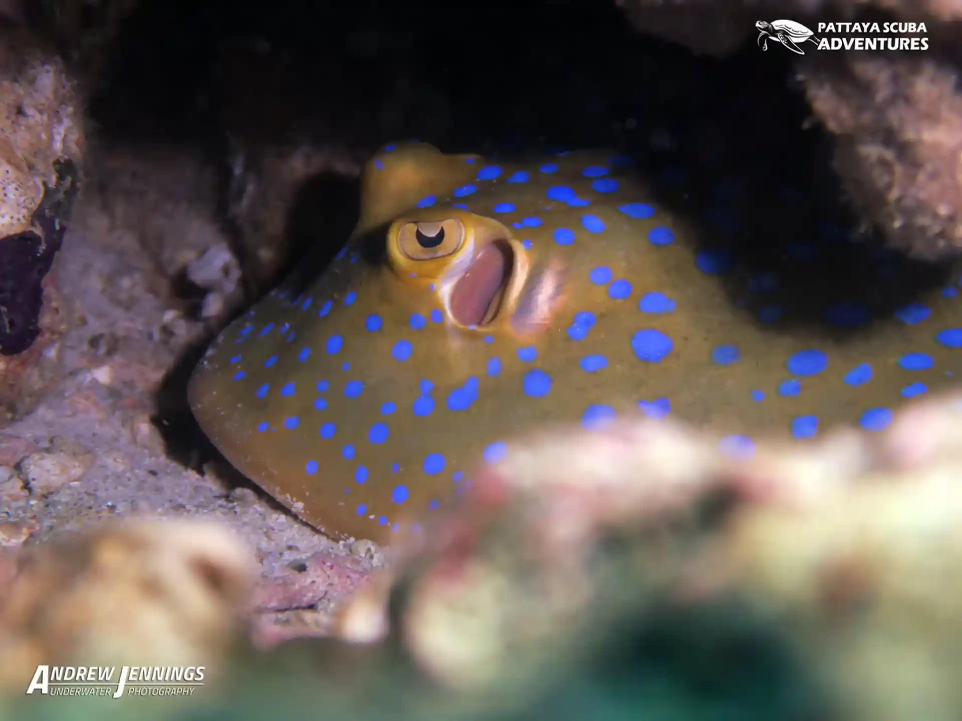 다이빙 포인트 사진