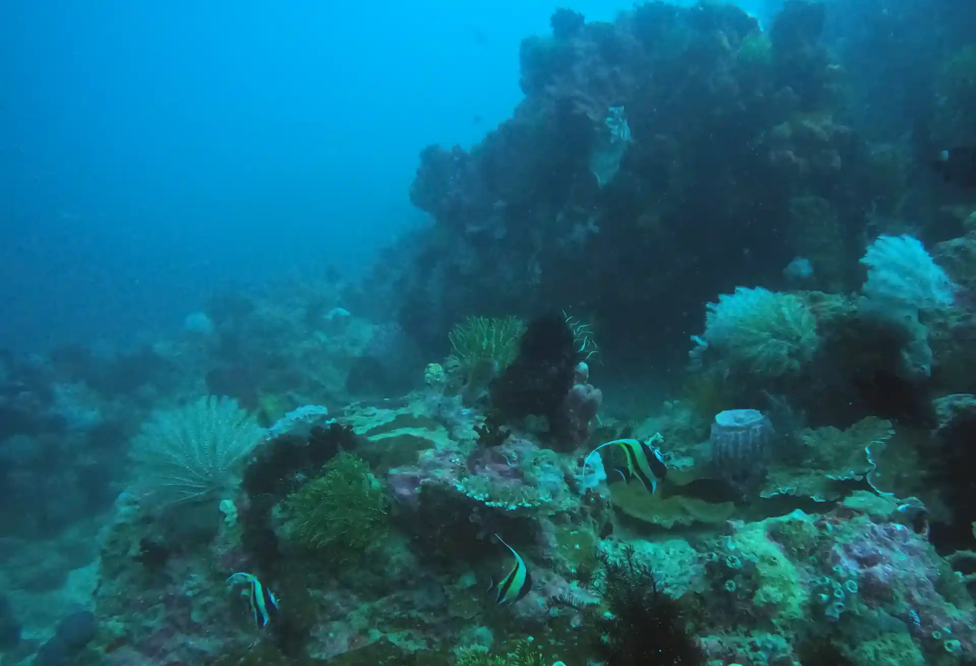 Foto des Tauchplatzes