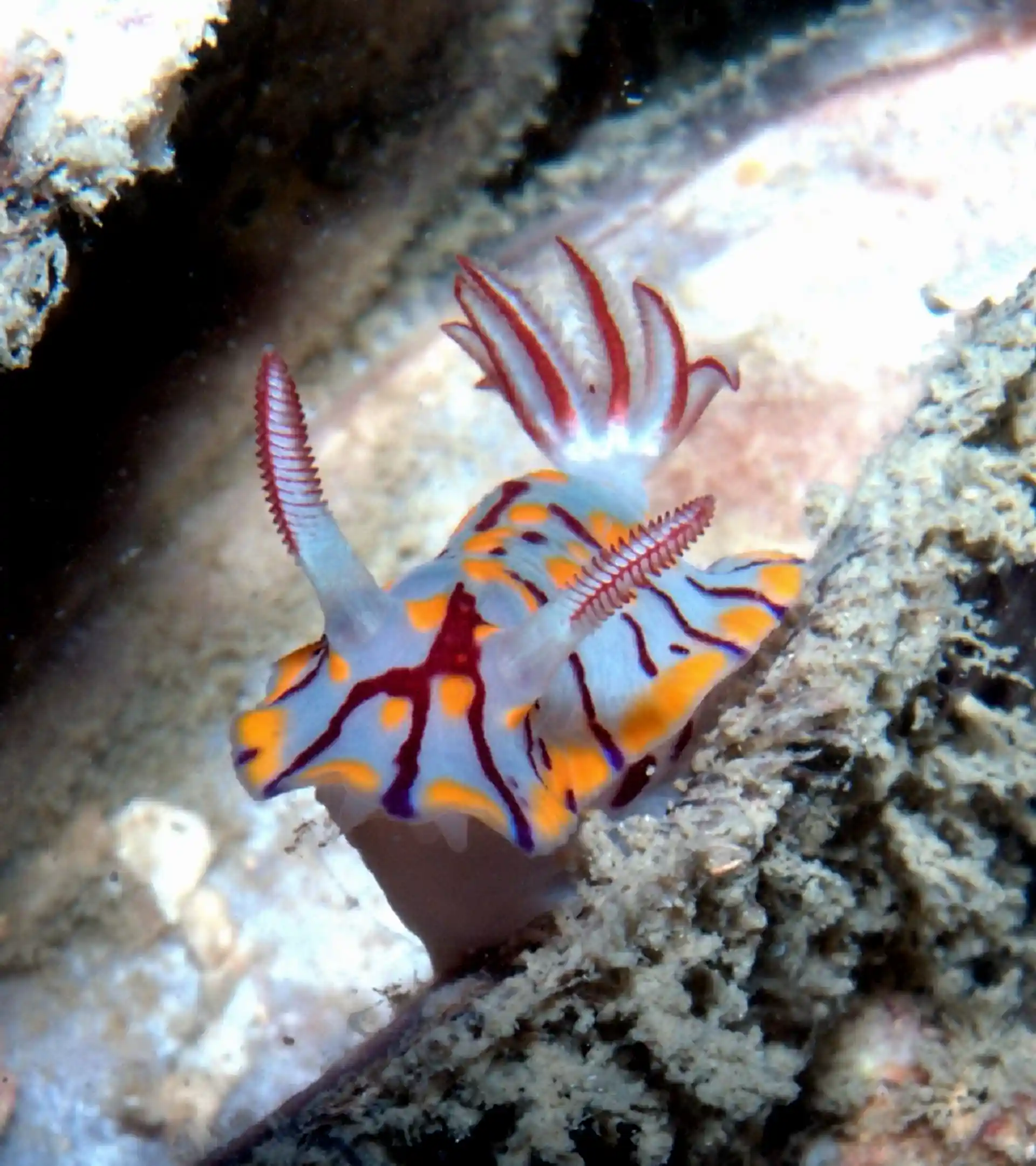 Foto del sitio de buceo