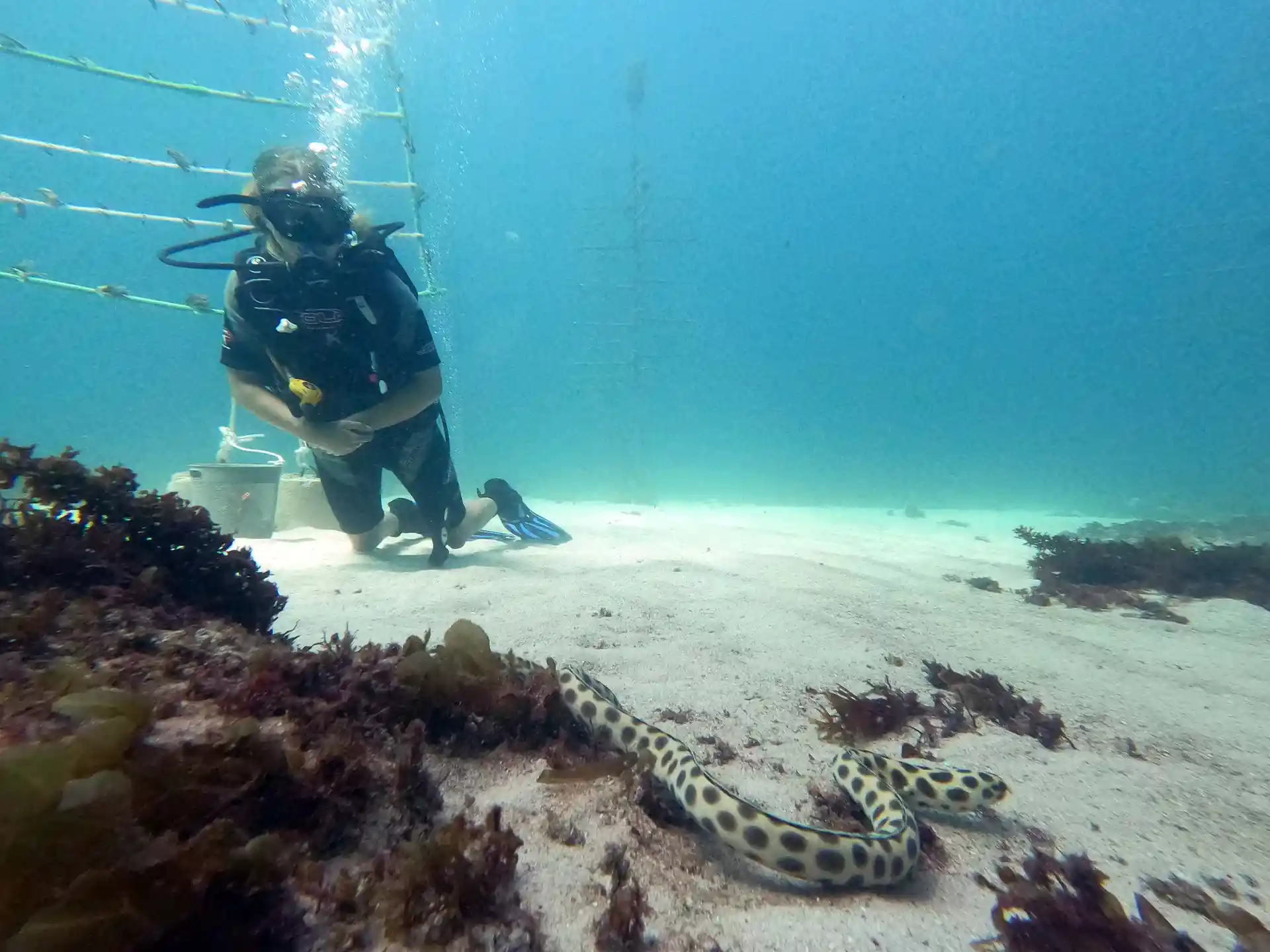 Dive site photo