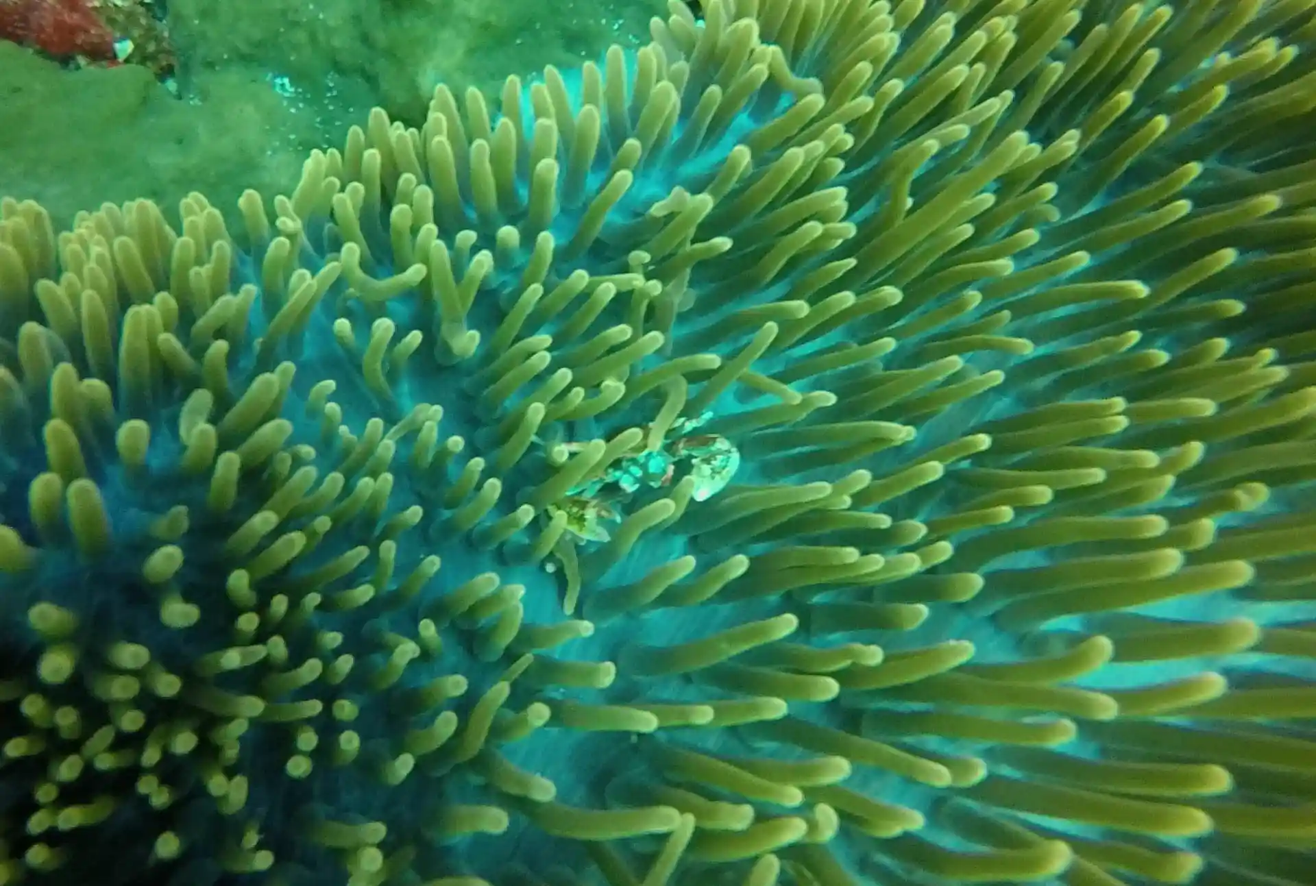 Dive site photo
