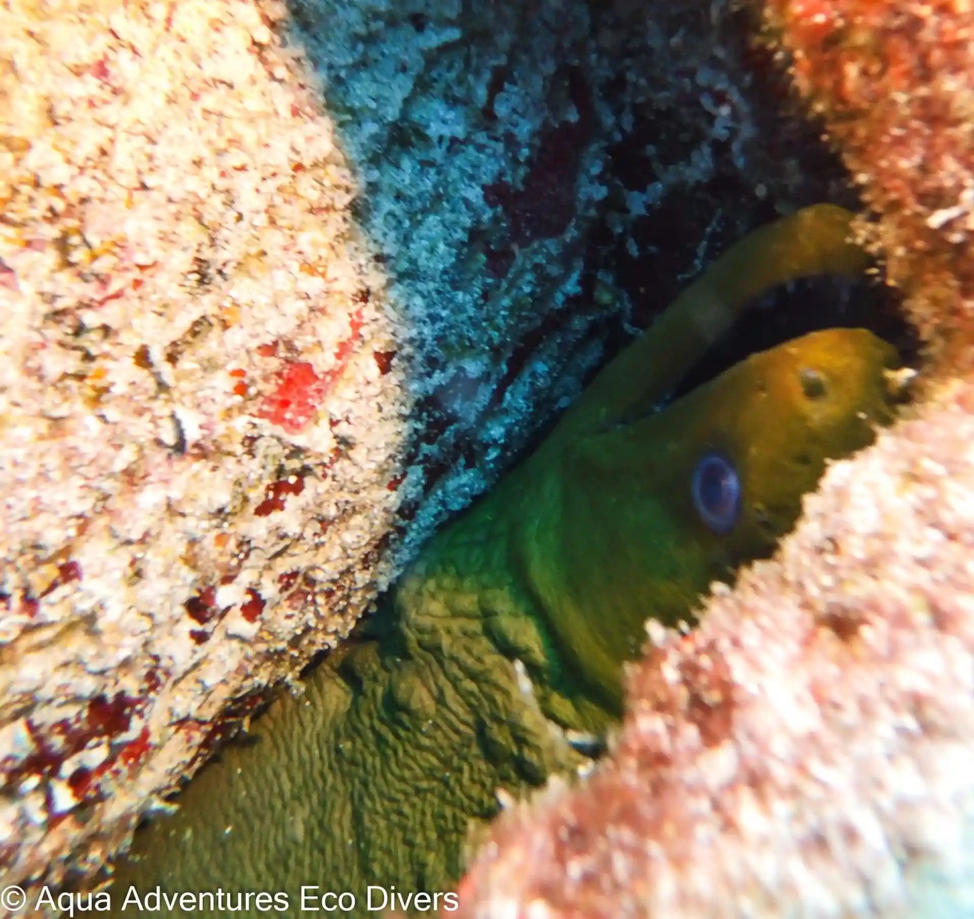 Foto del sitio de buceo