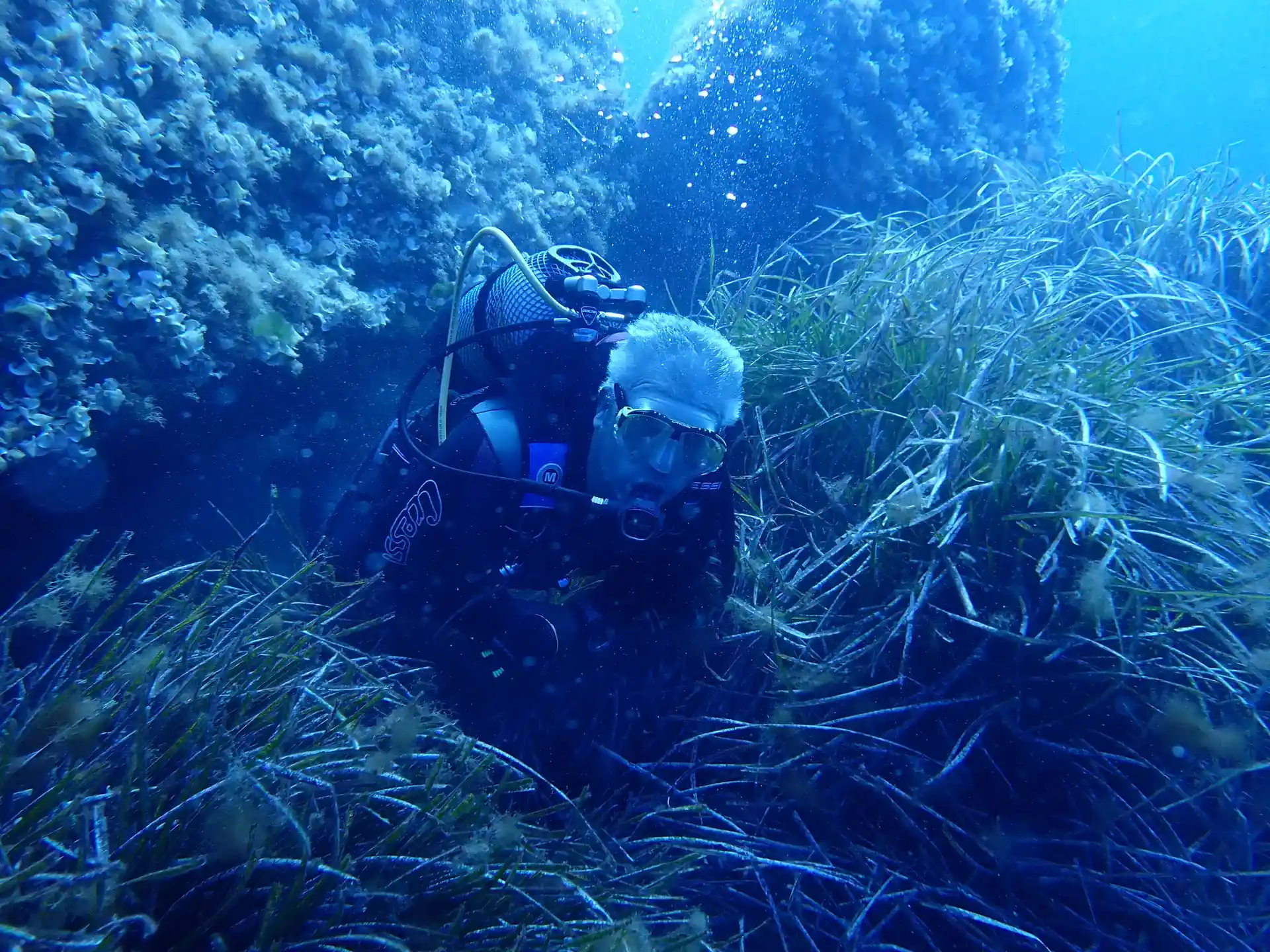 Foto del sitio de buceo