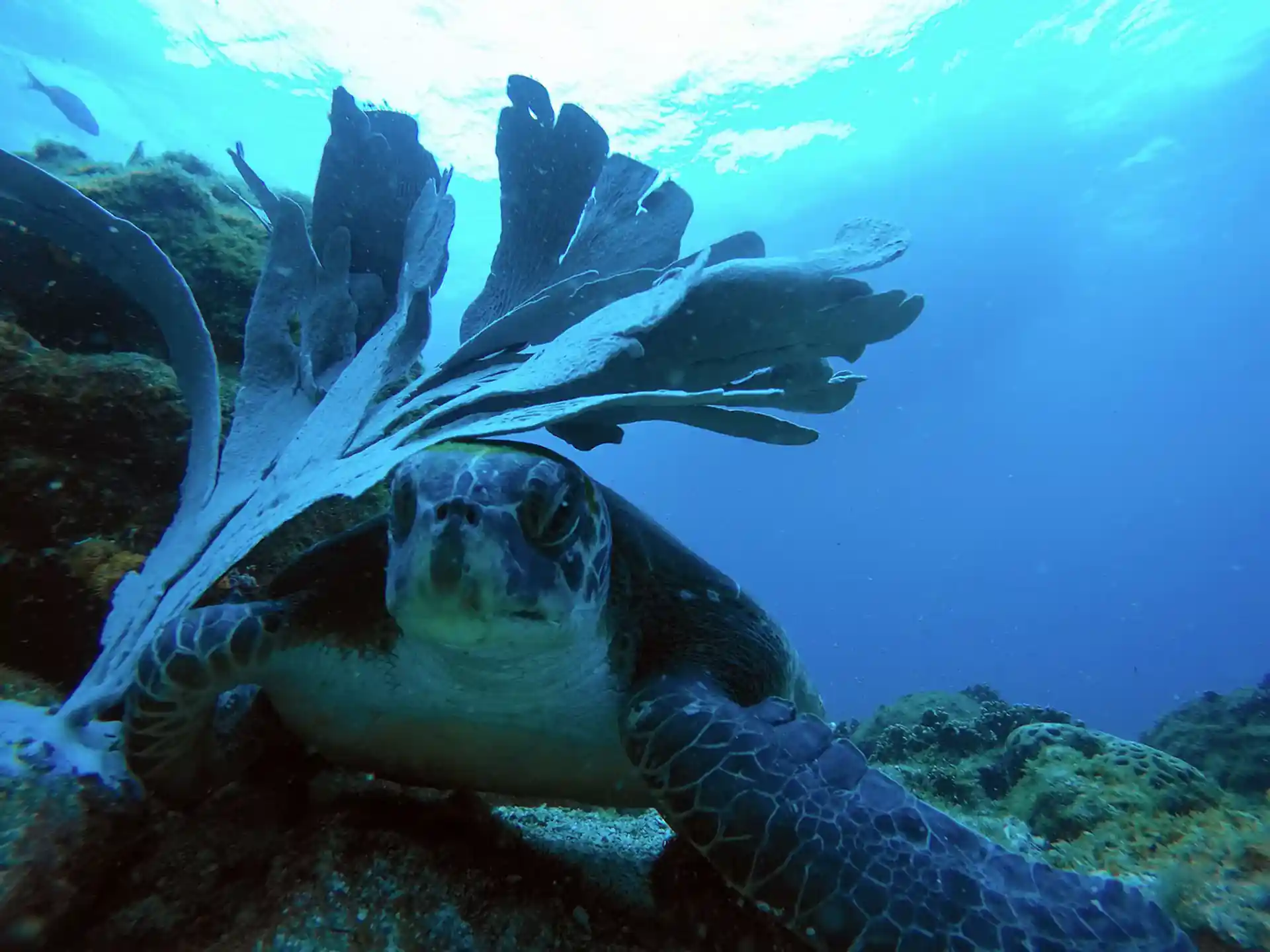 Photo de l'activité