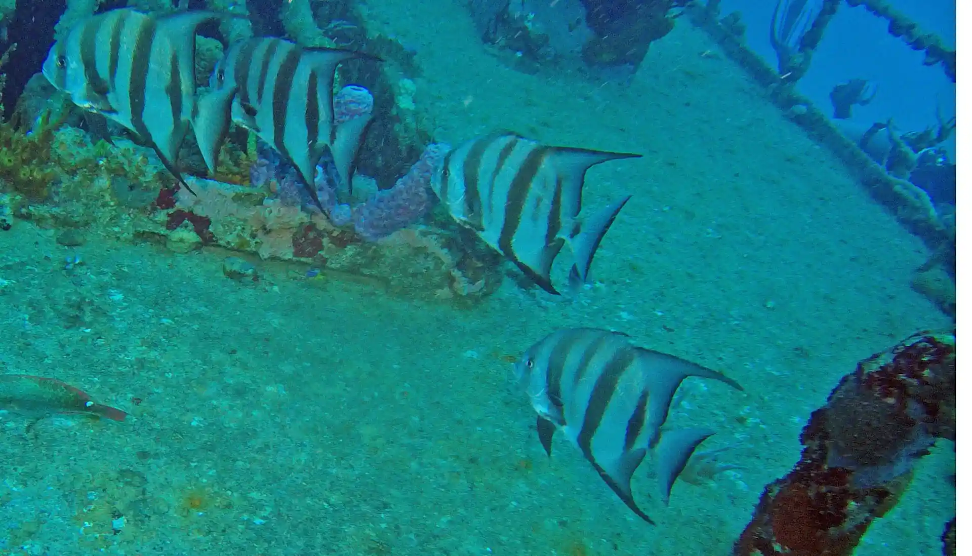 Dive site photo