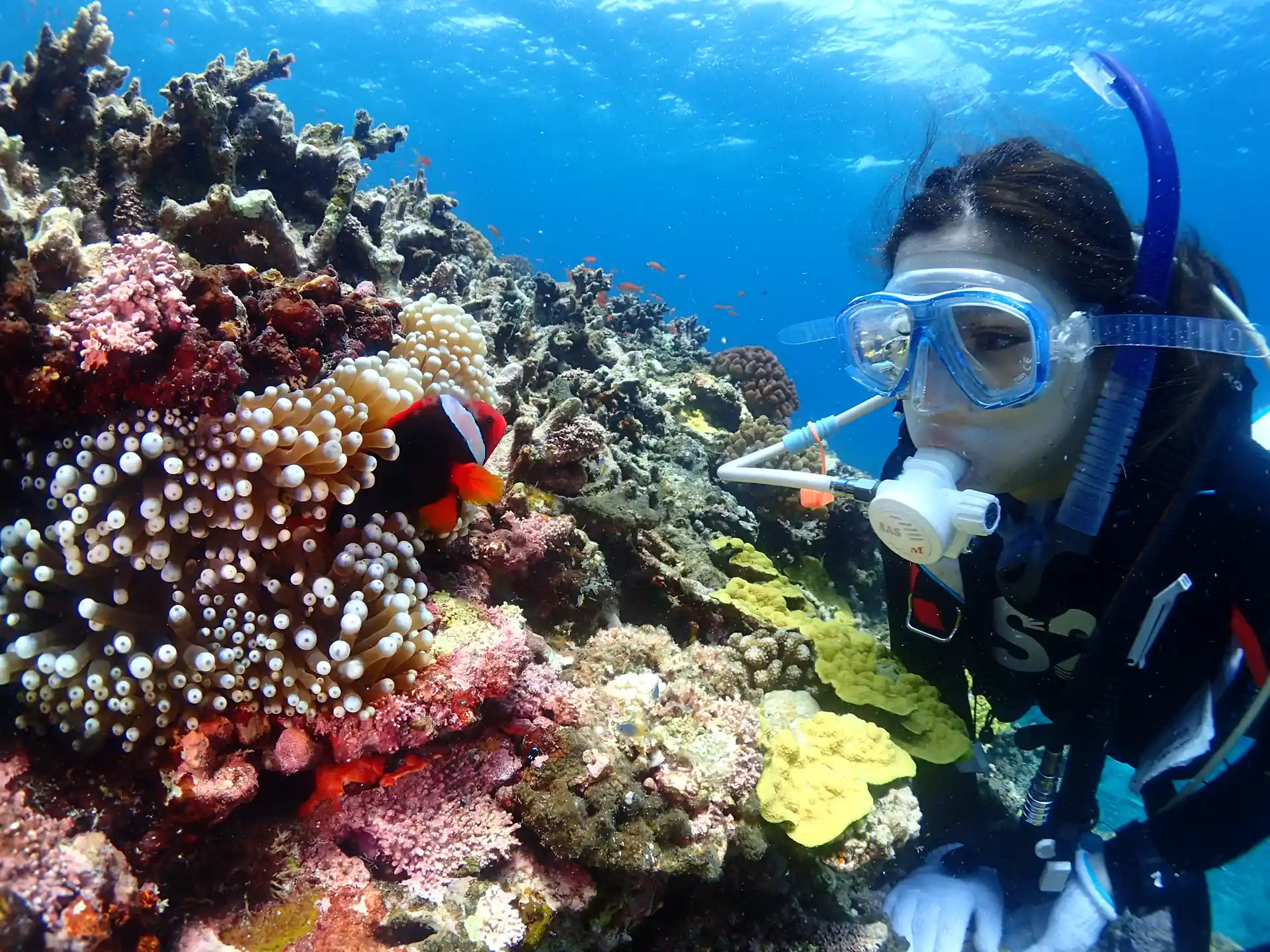 Dive shop photo