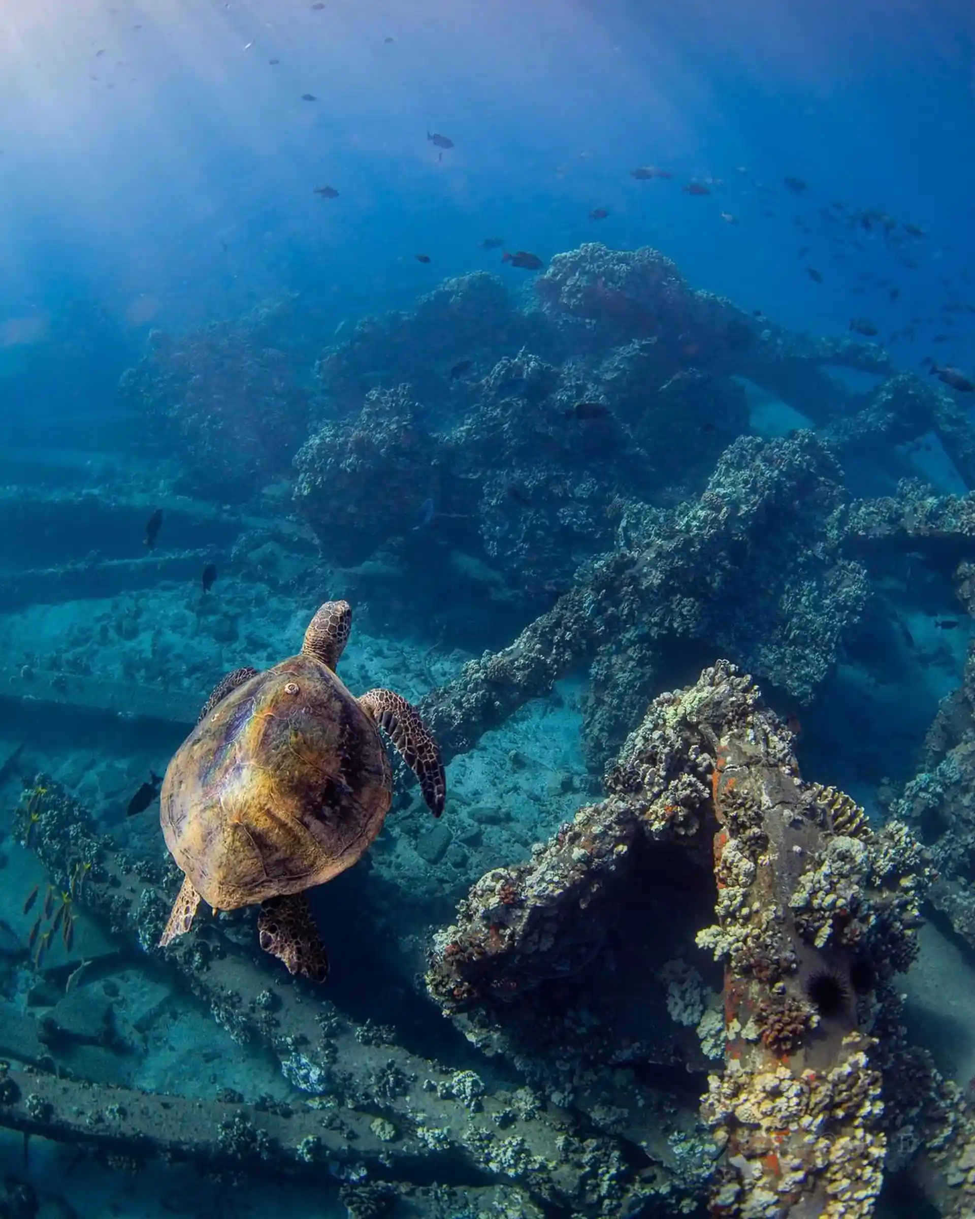 Dive site photo
