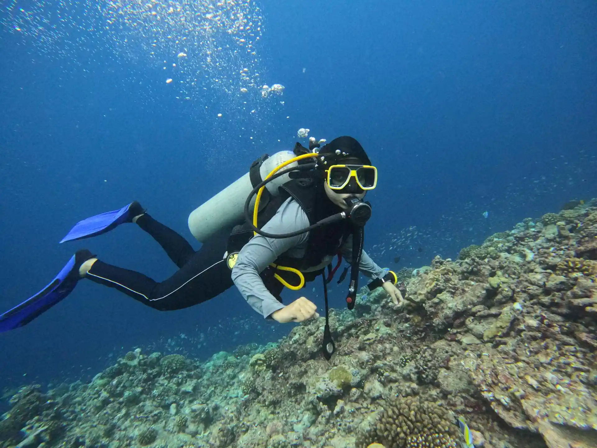 Dive site photo