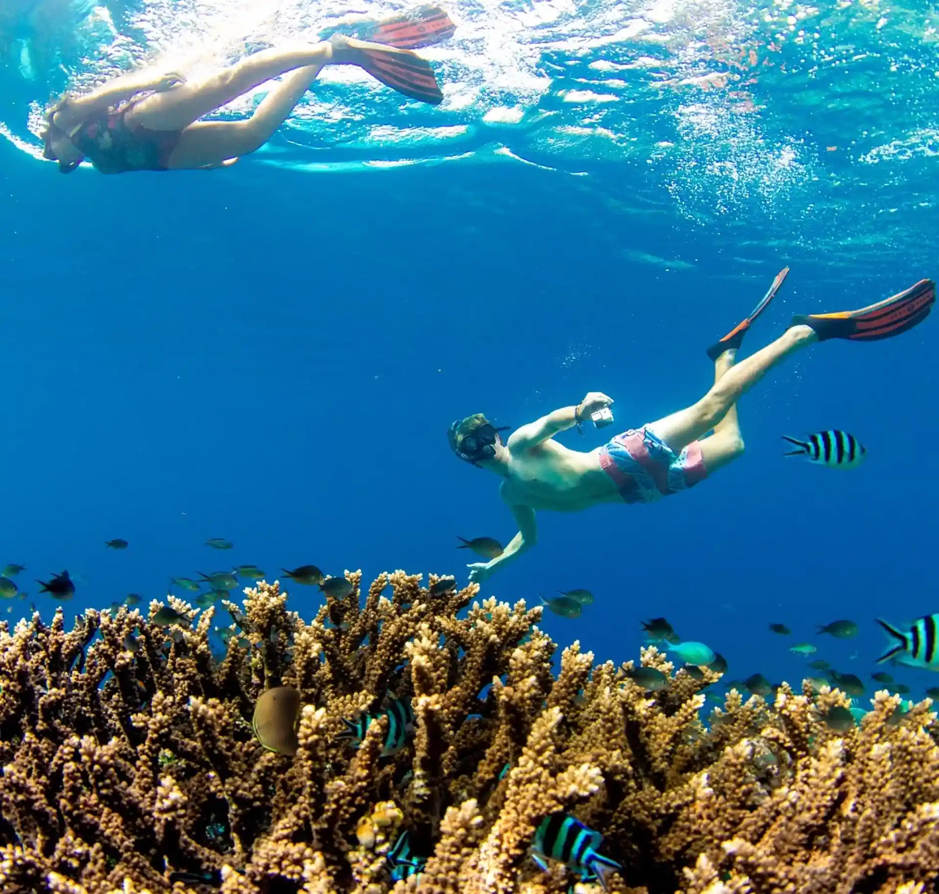 ダイビングサイトの写真