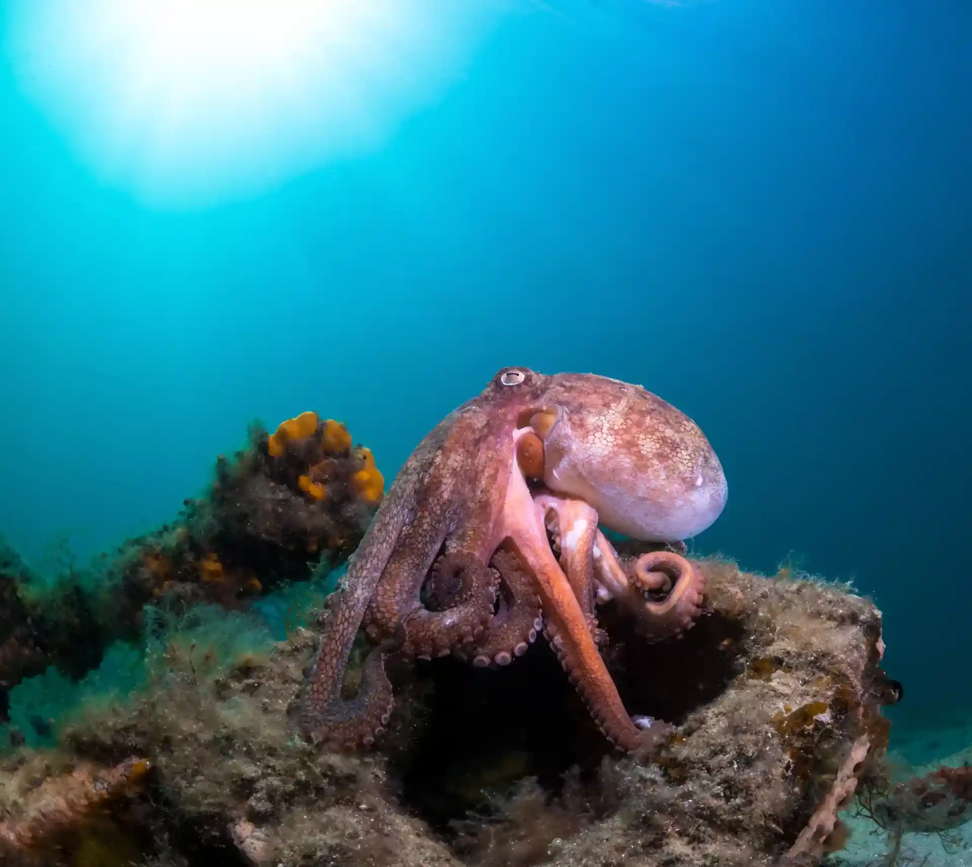Dive site photo