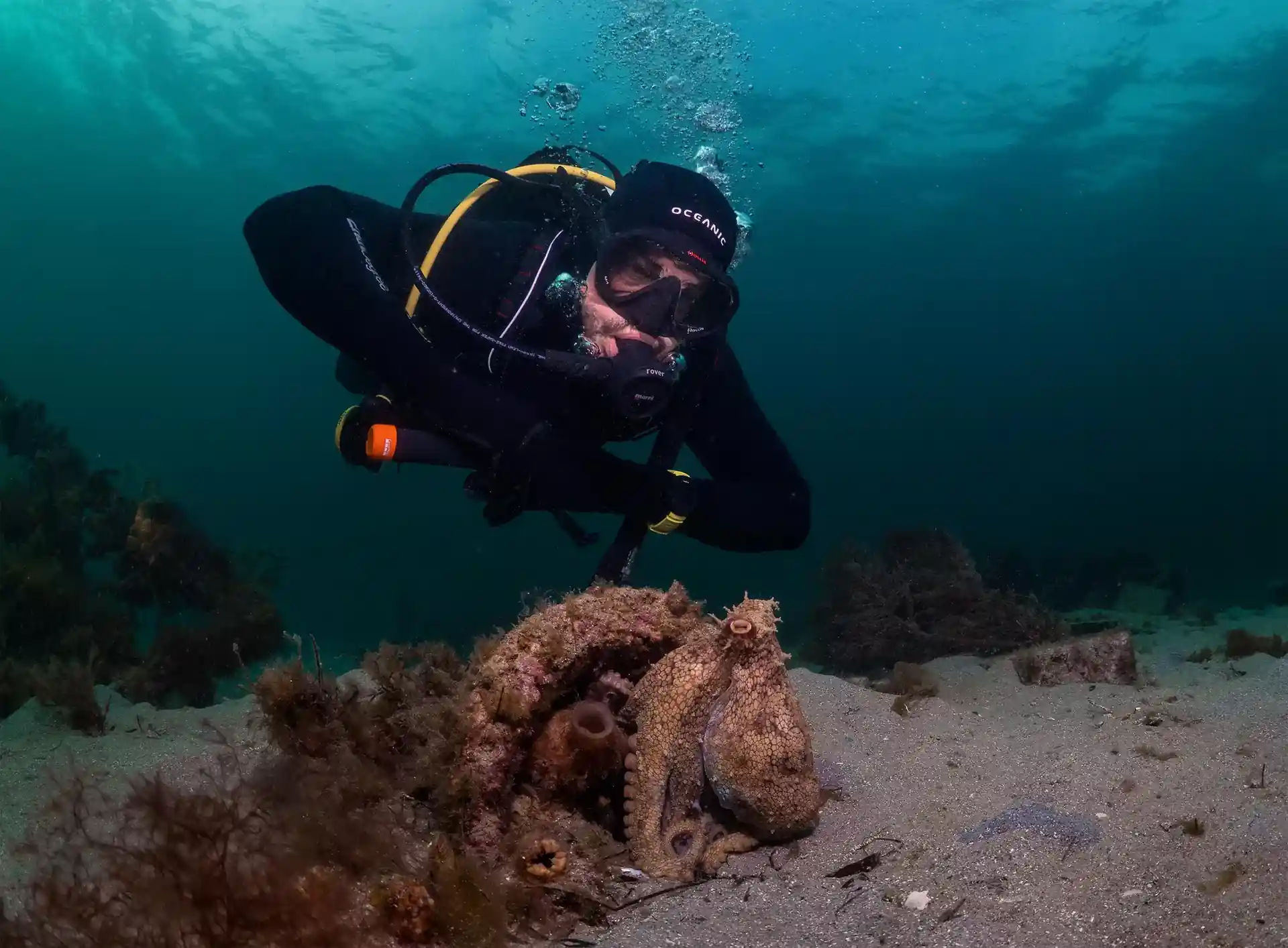 Dive site photo