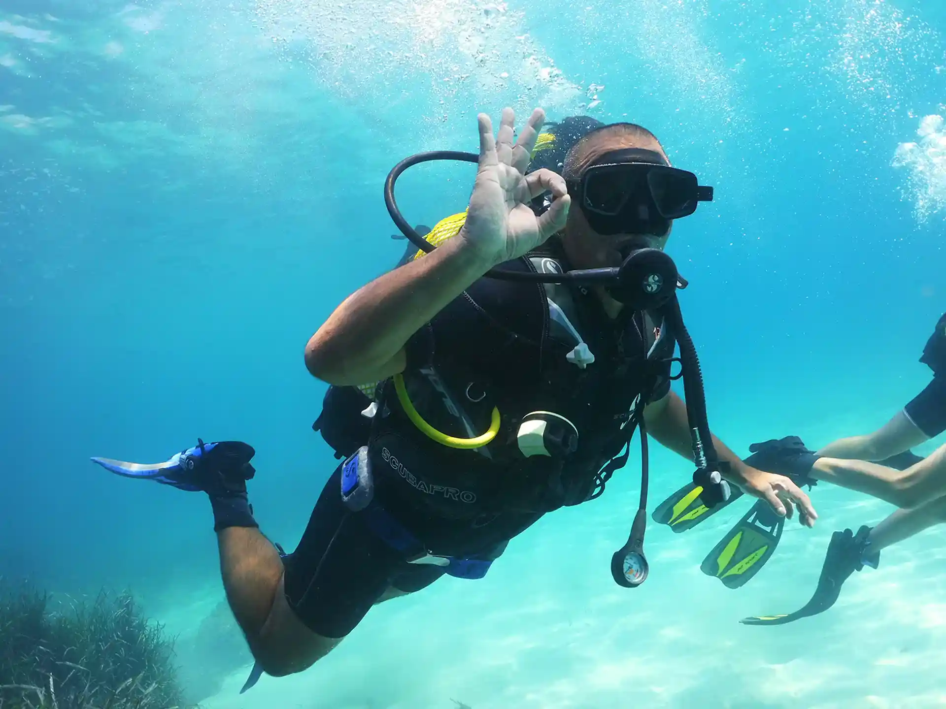 Photo de l'activité