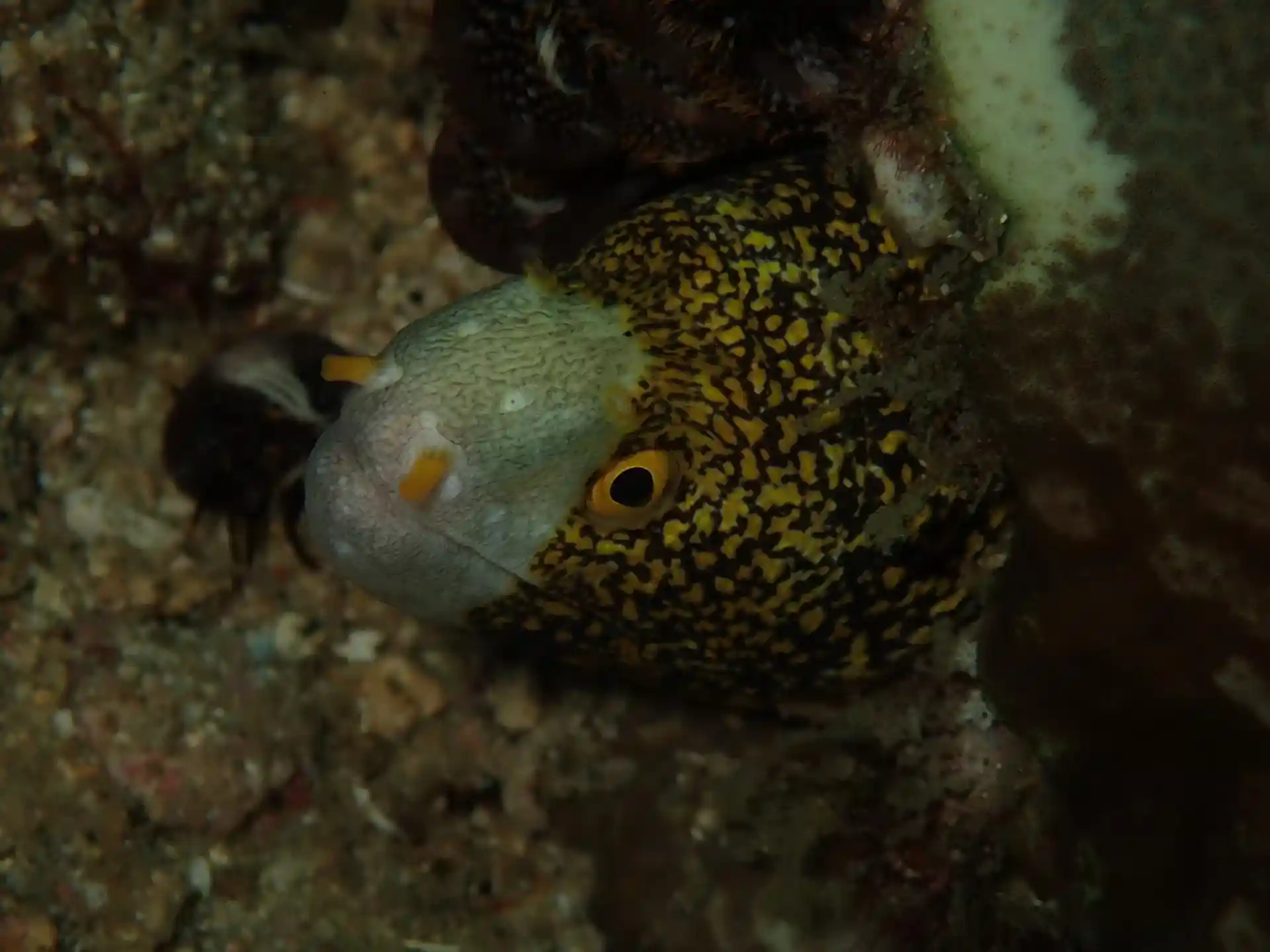 Dive site photo