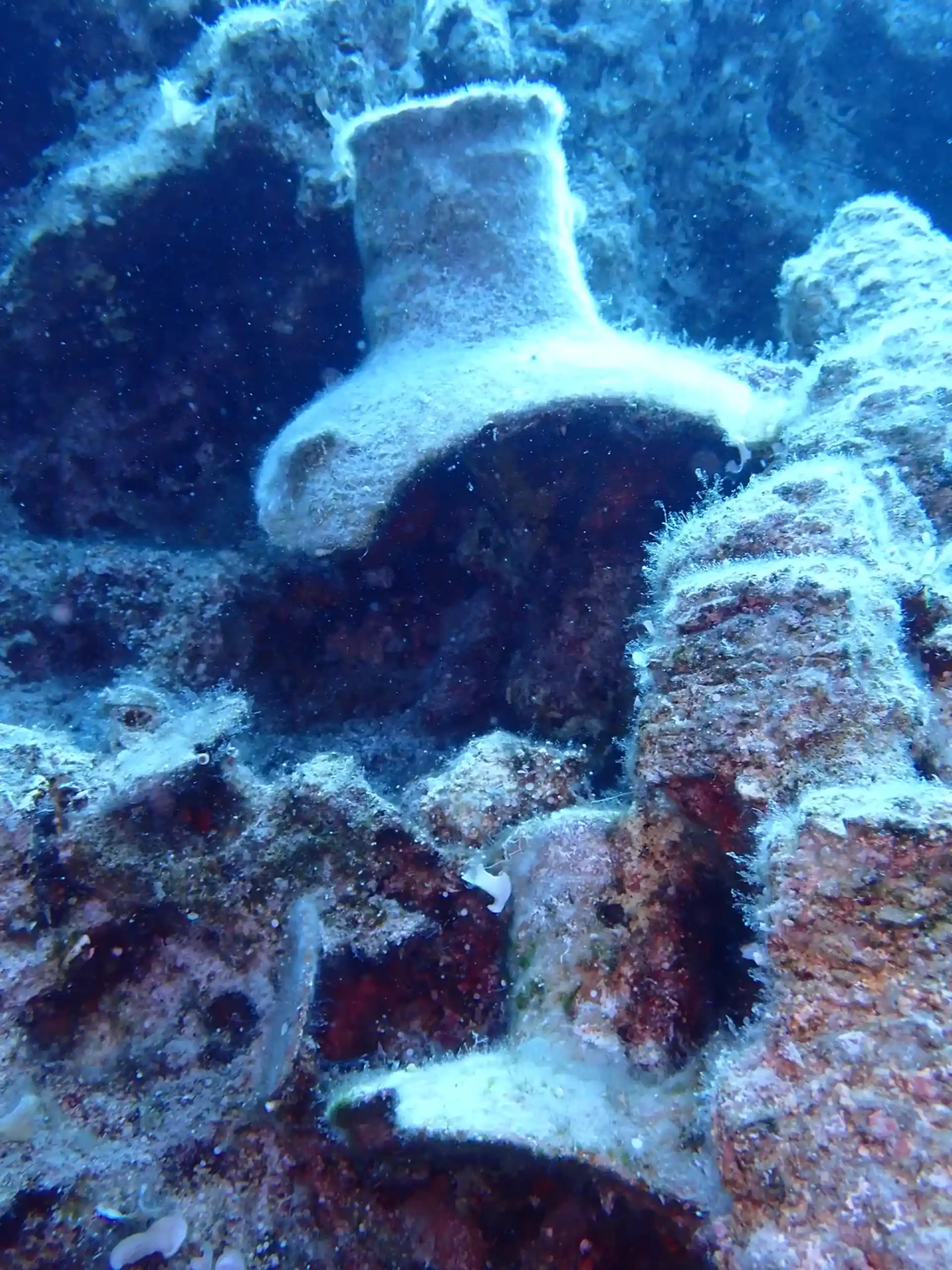 Dive site photo