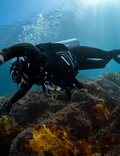 Picture: PADI Adaptive Service Facilities
