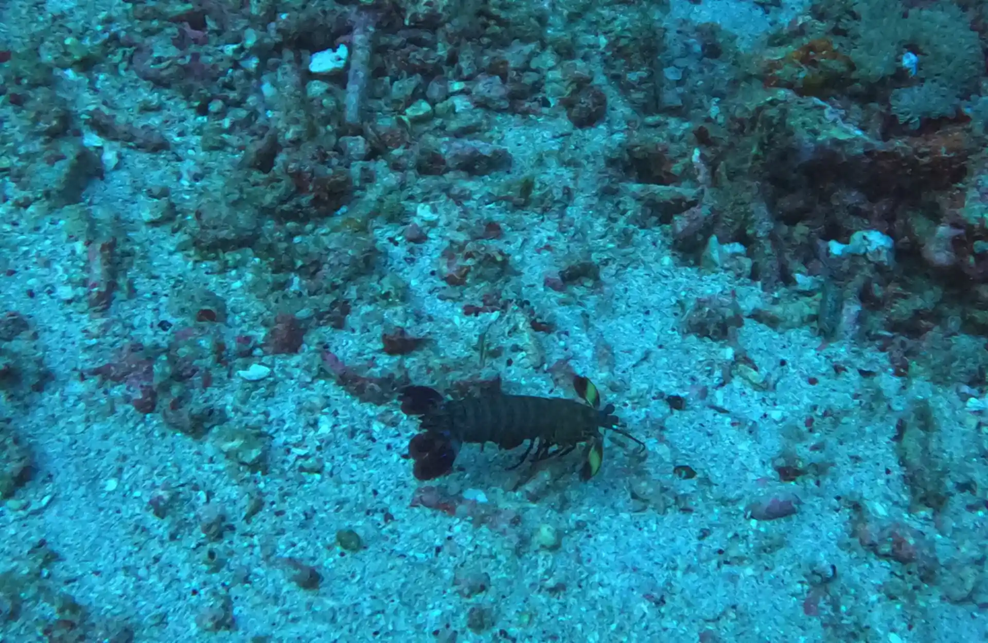 Foto des Tauchplatzes