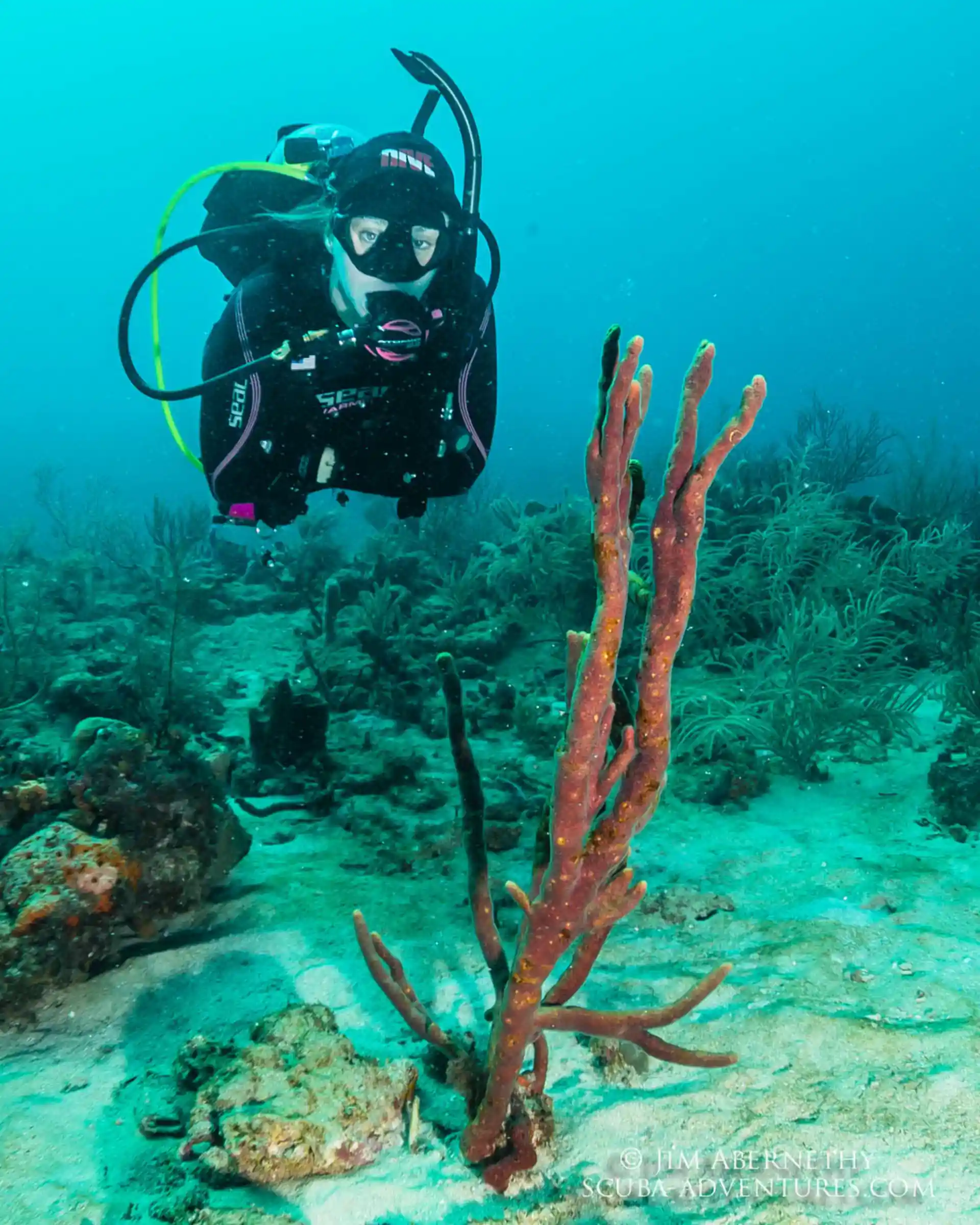 Dive shop photo