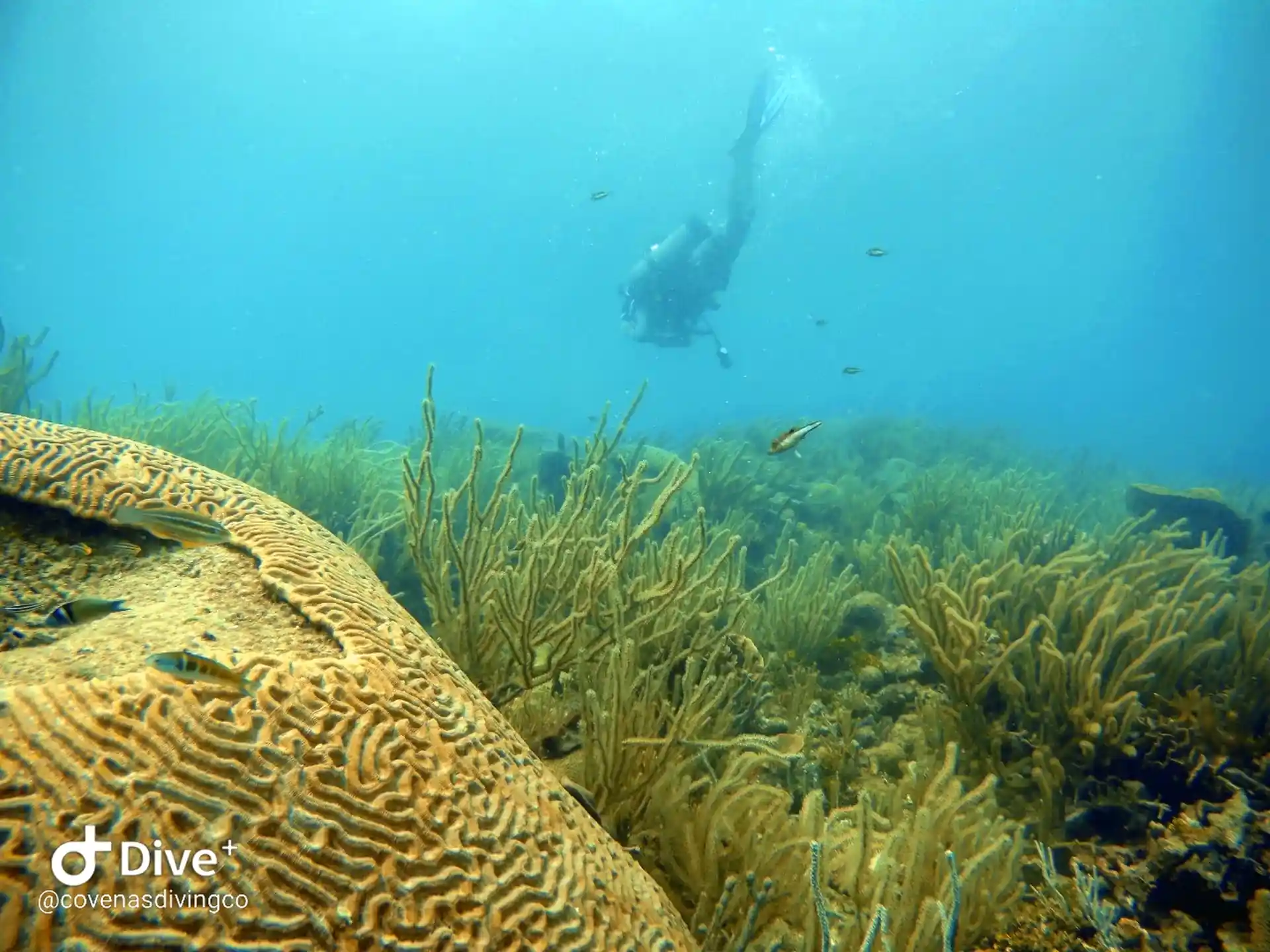 Dive site photo