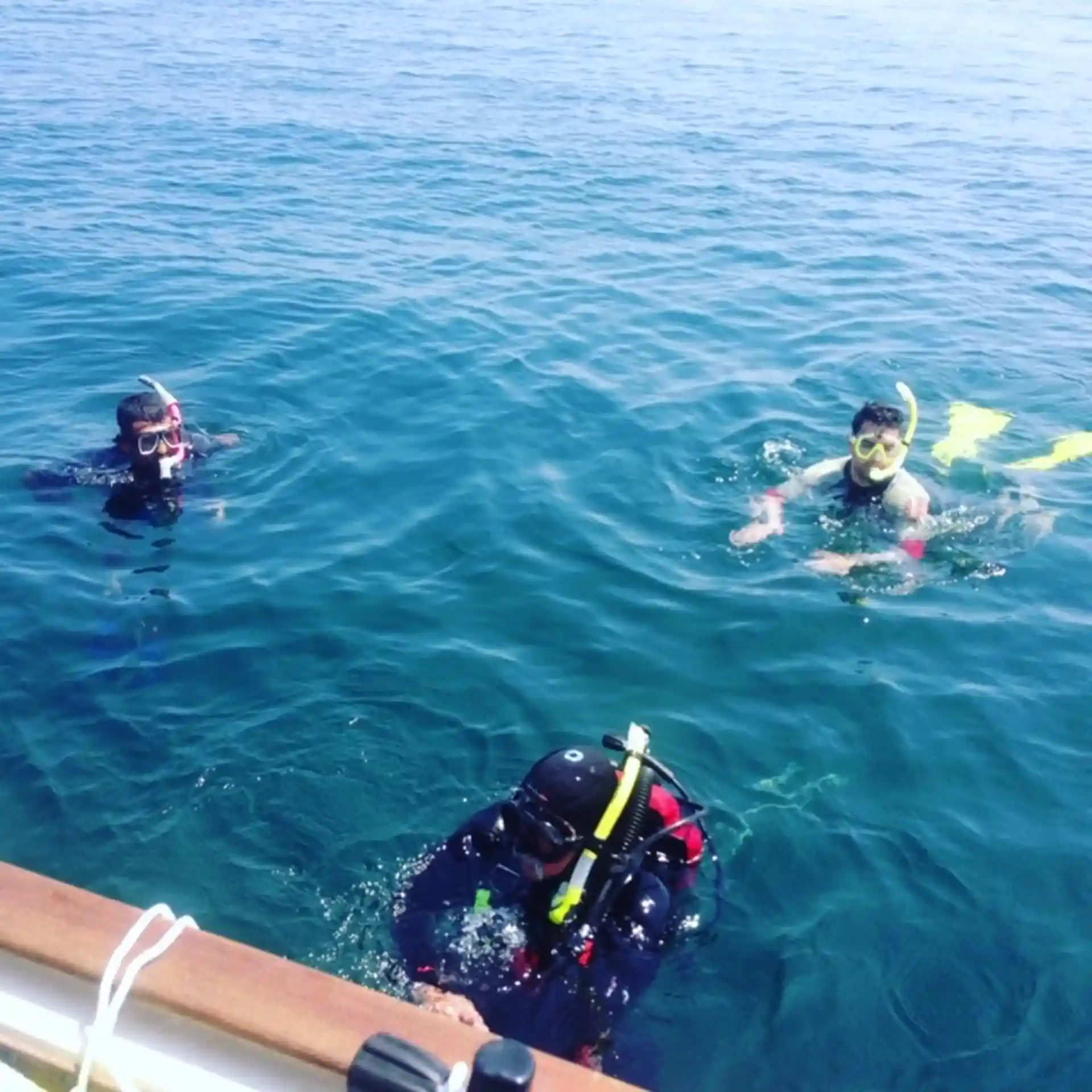 Photo de l'activité