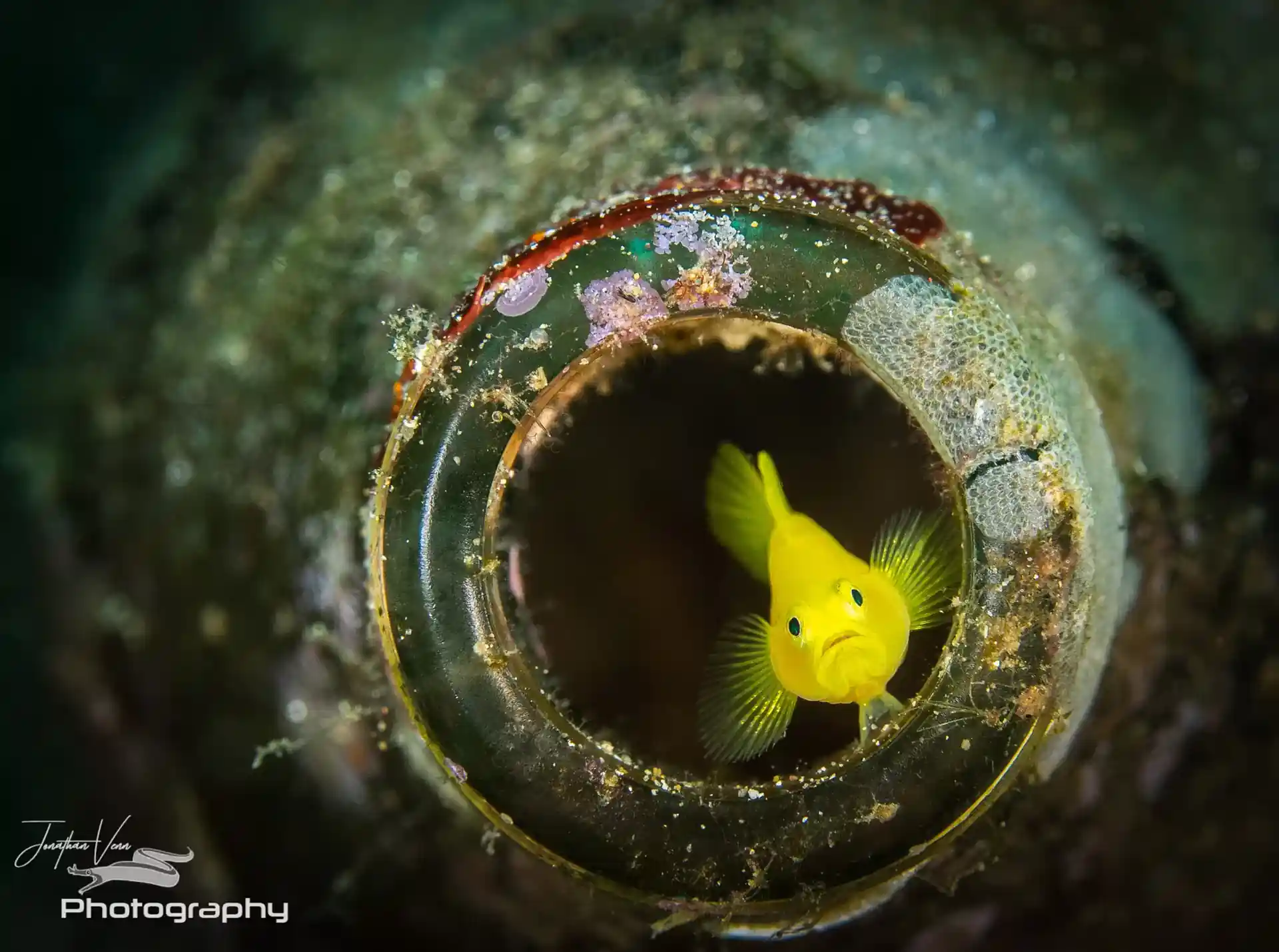 Dive site photo