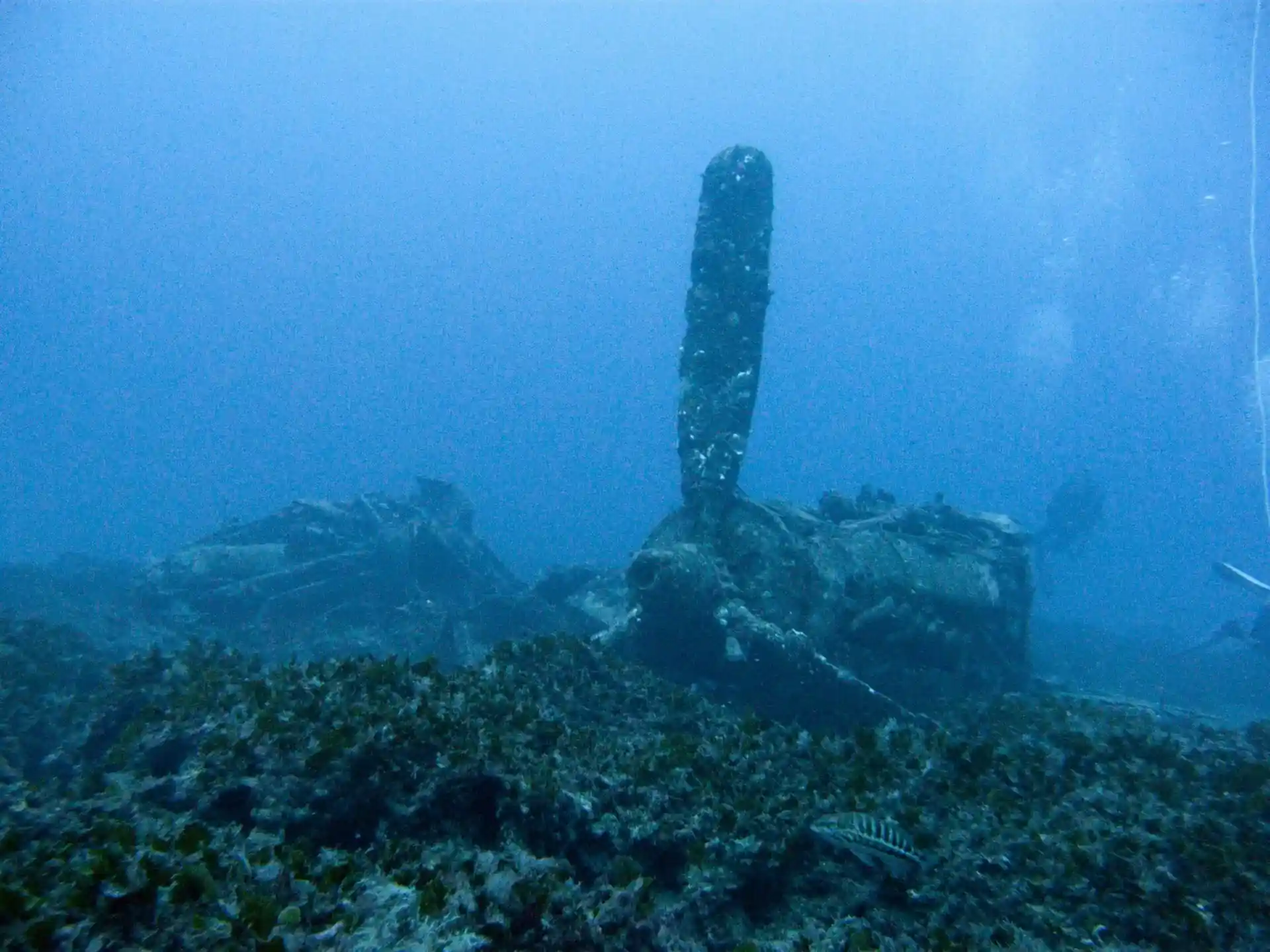 Dive site photo