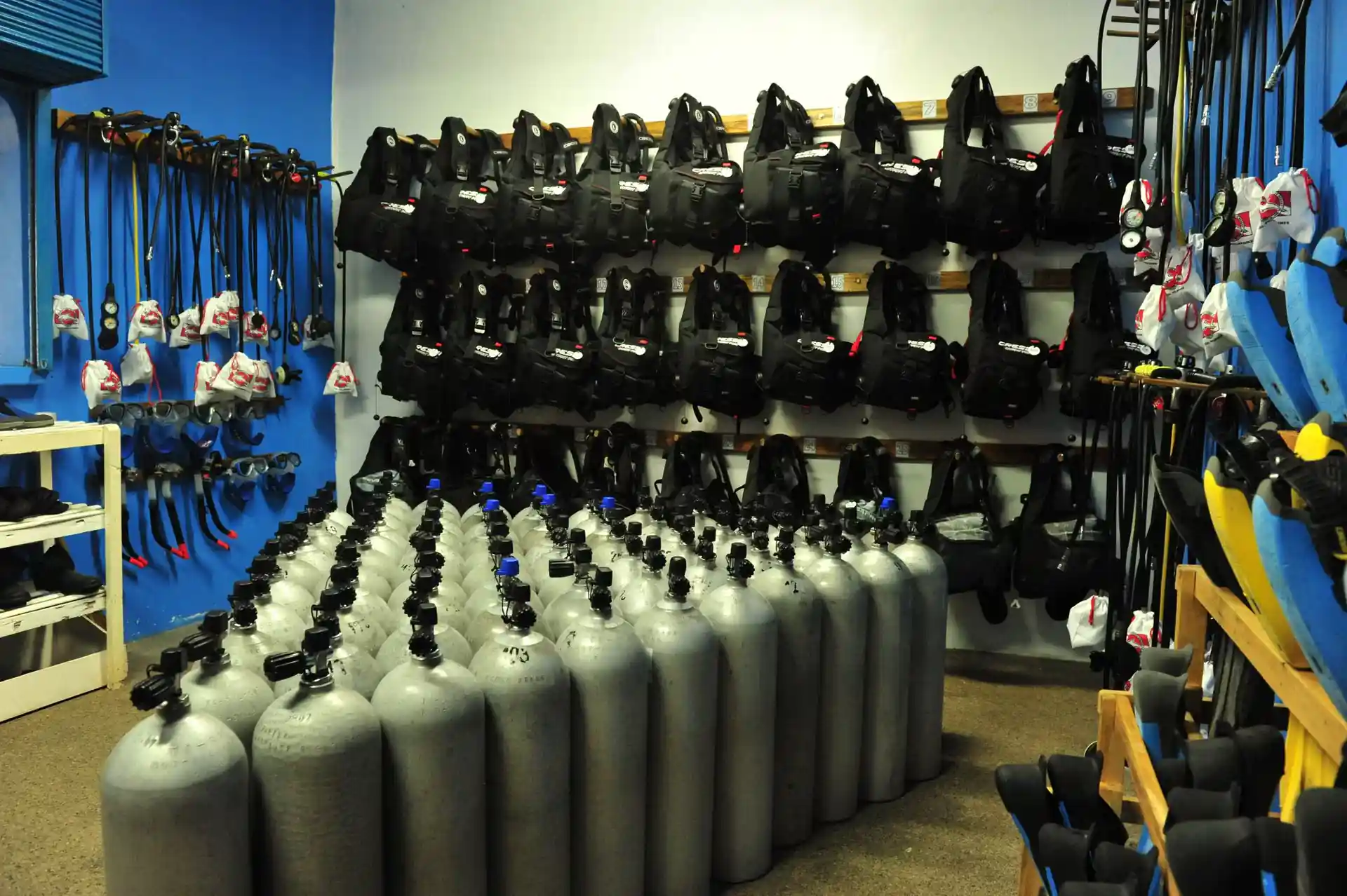 Foto de la actividad