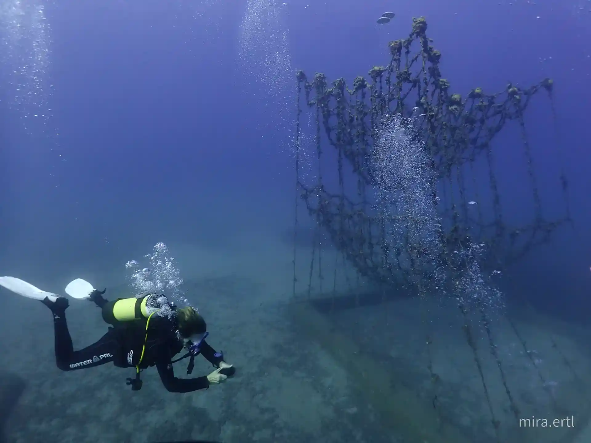Dive site photo