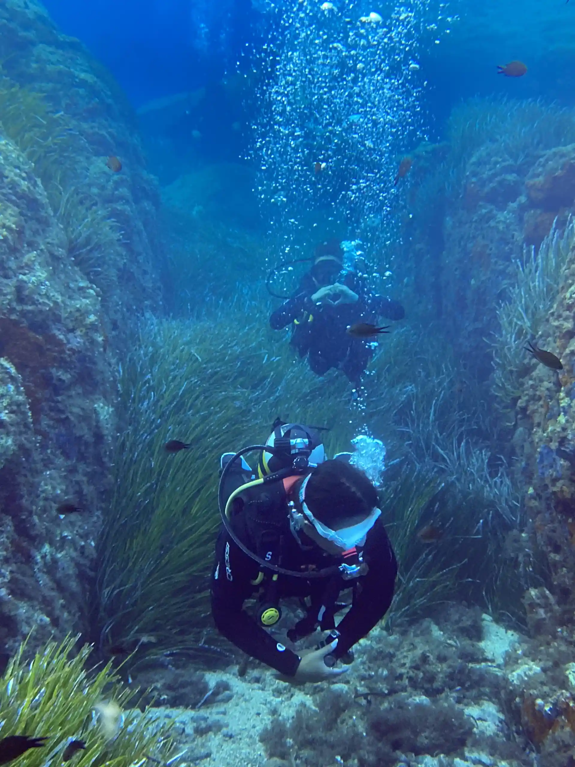 Photo de l'activité